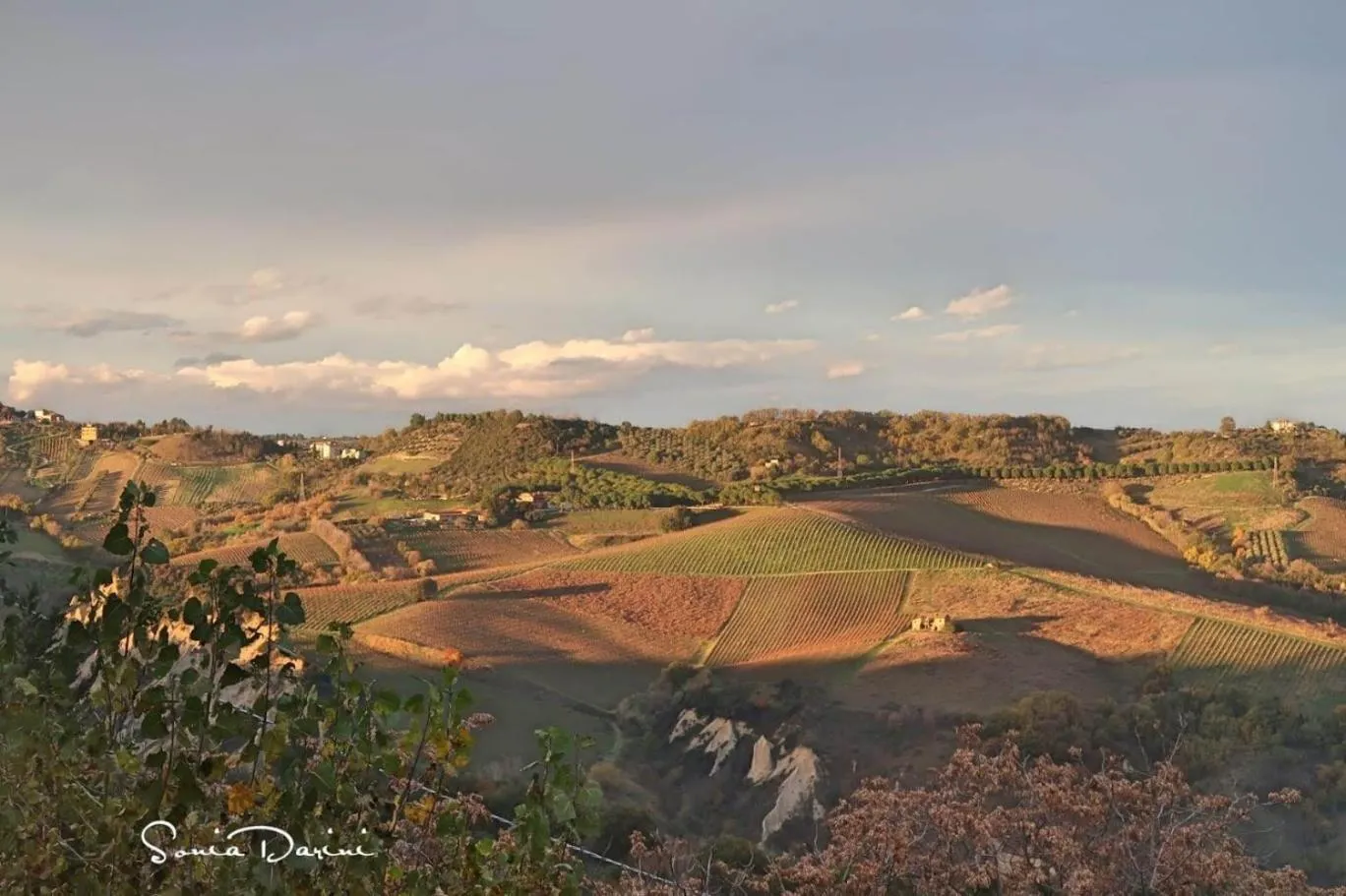 View (from property/room) in B&B Palazzo Mestichelli Boutique Palace