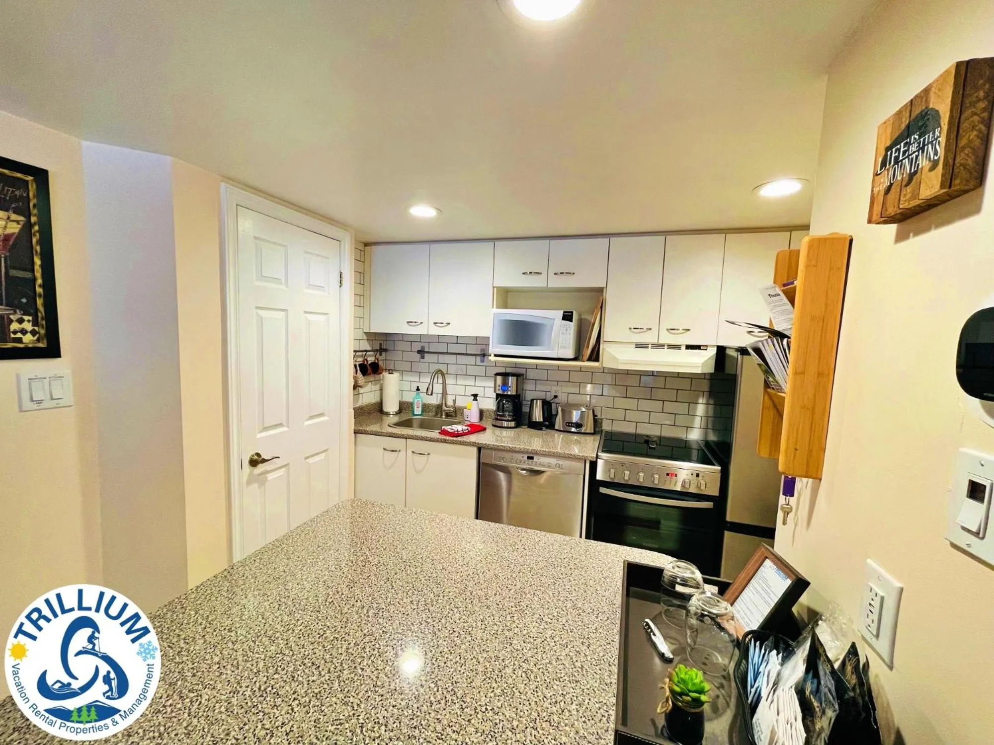 Rustic Mountainside Chalet