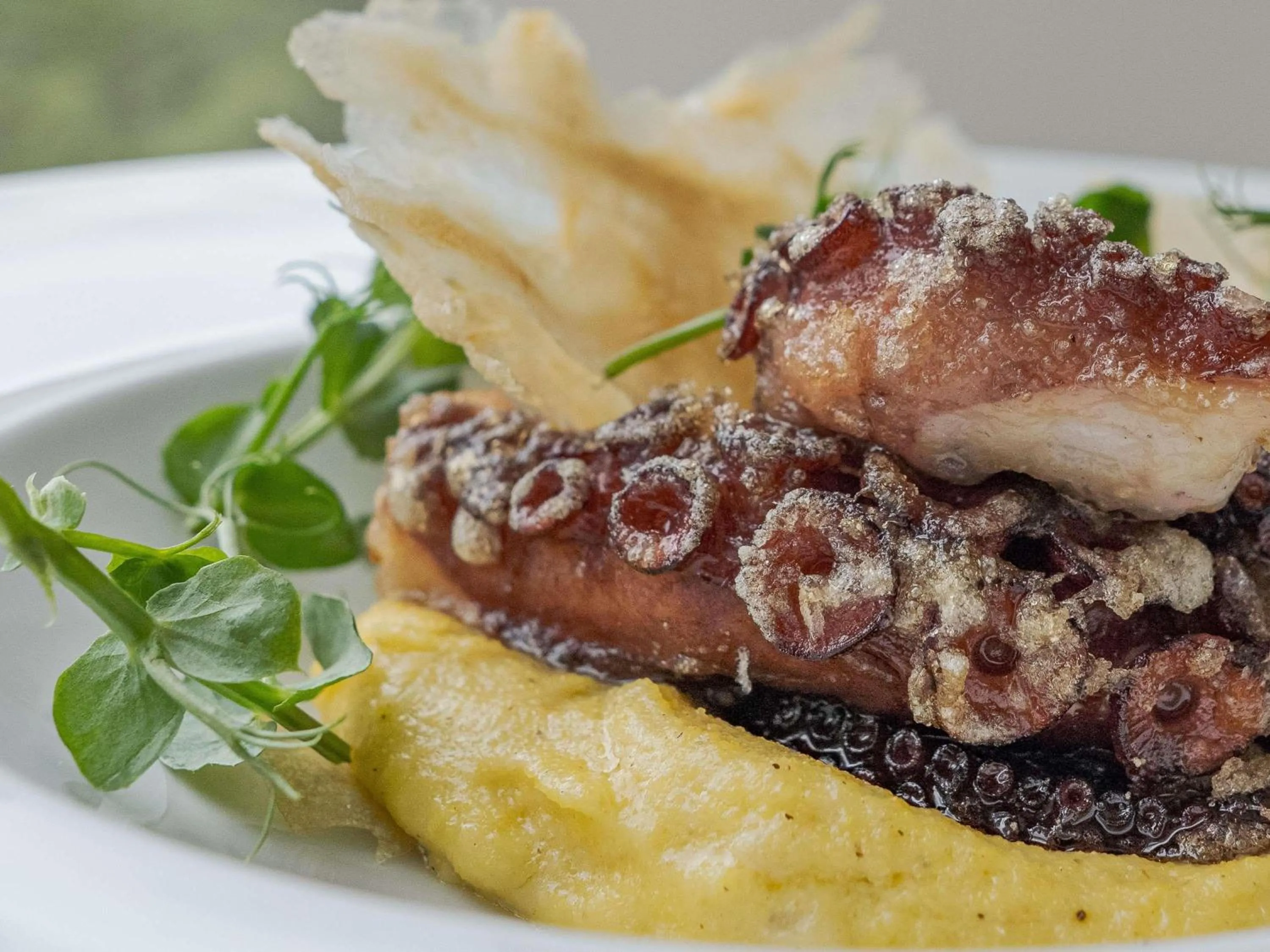 Restaurant/places to eat in Novotel Medellin El Tesoro