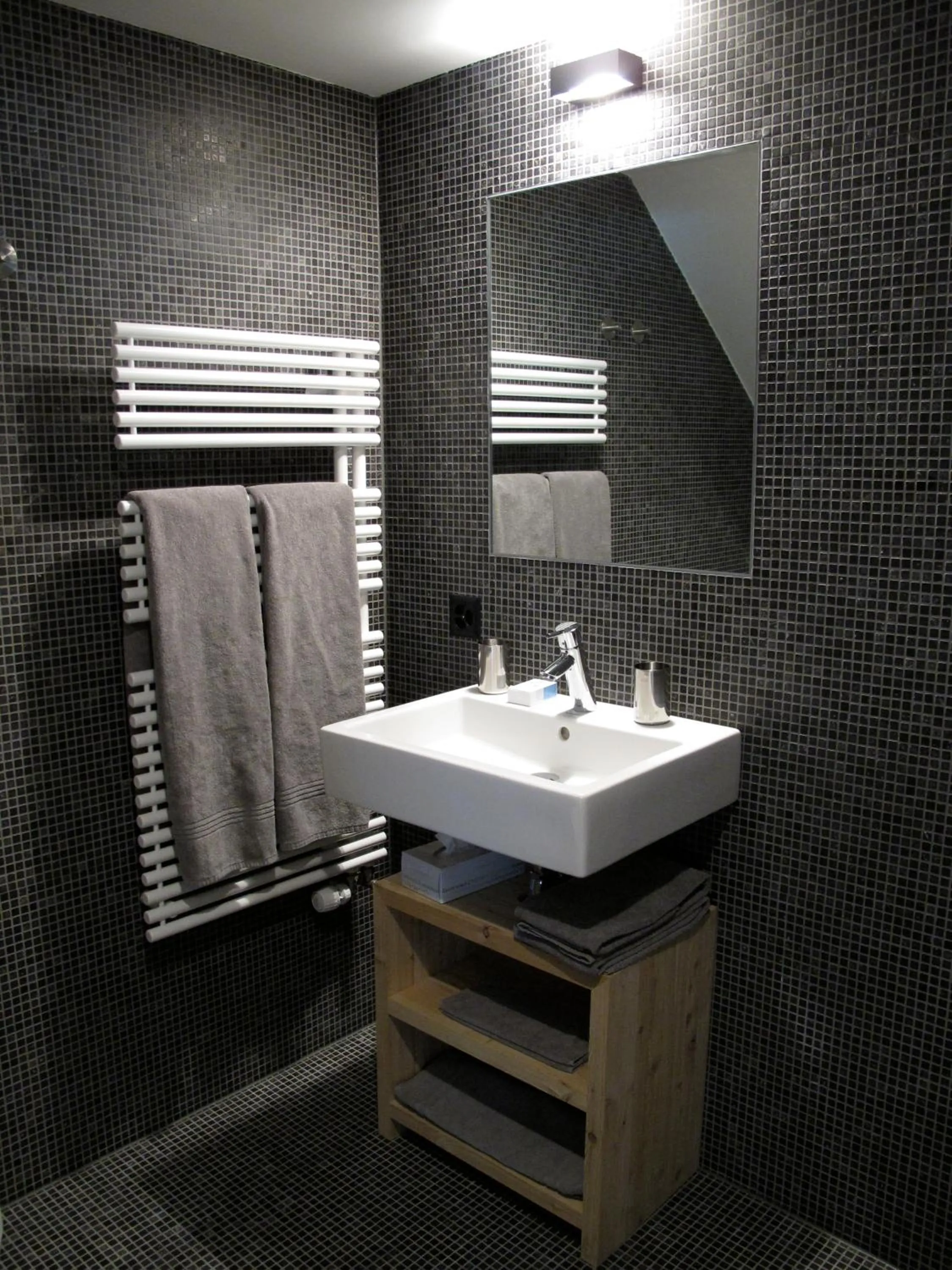 Bathroom in Montagne Alternative