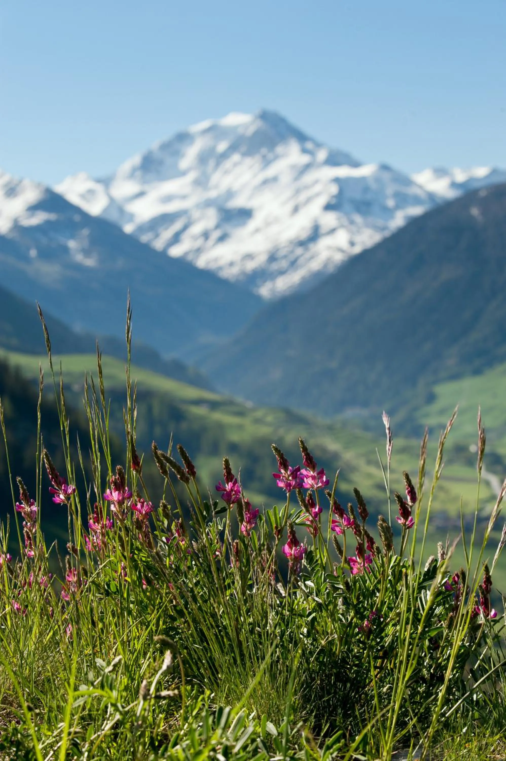 Off site in Montagne Alternative