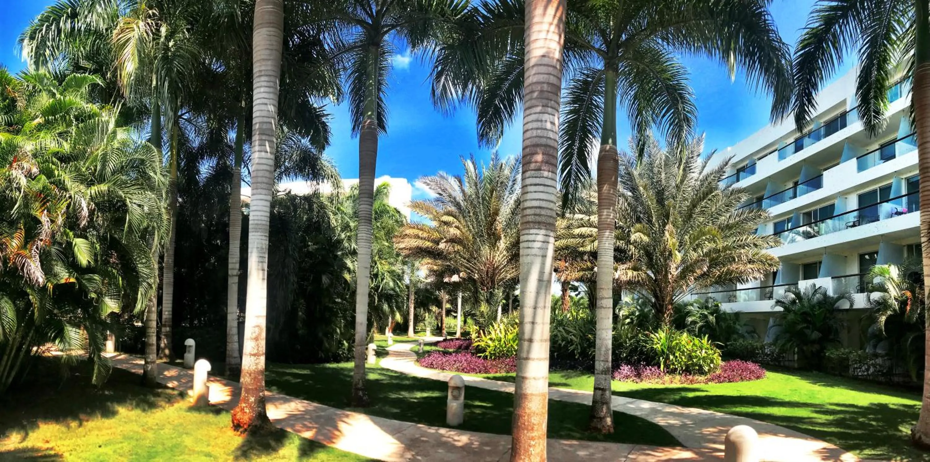 Garden in Estelar Playa Manzanillo - All inclusive