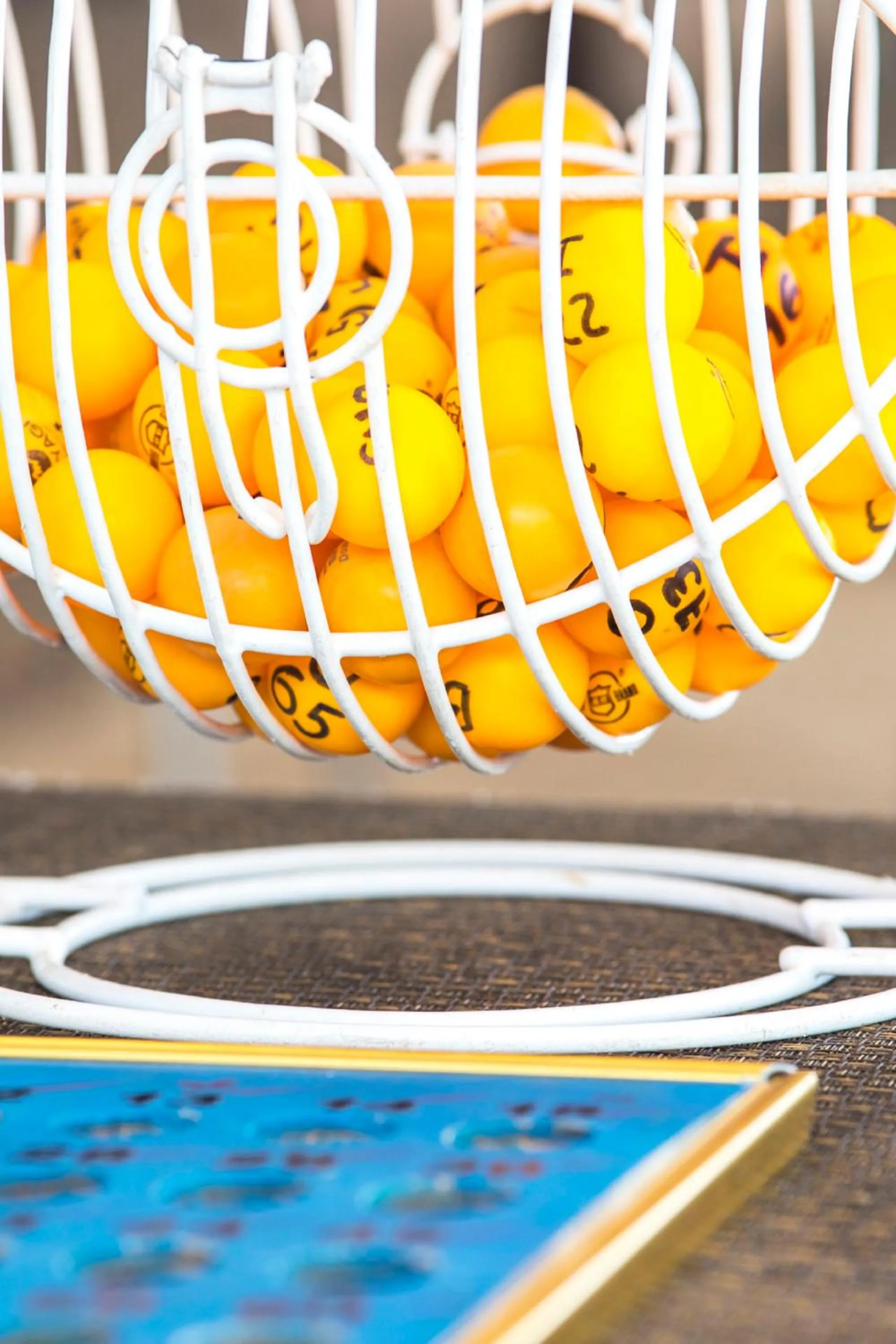 Entertainment in Estelar Playa Manzanillo - All inclusive