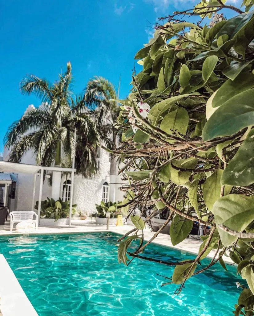 Garden in Le Castel Blanc Hotel Boutique