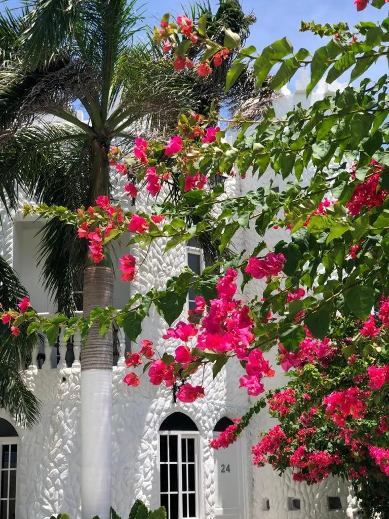 Garden in Le Castel Blanc Hotel Boutique