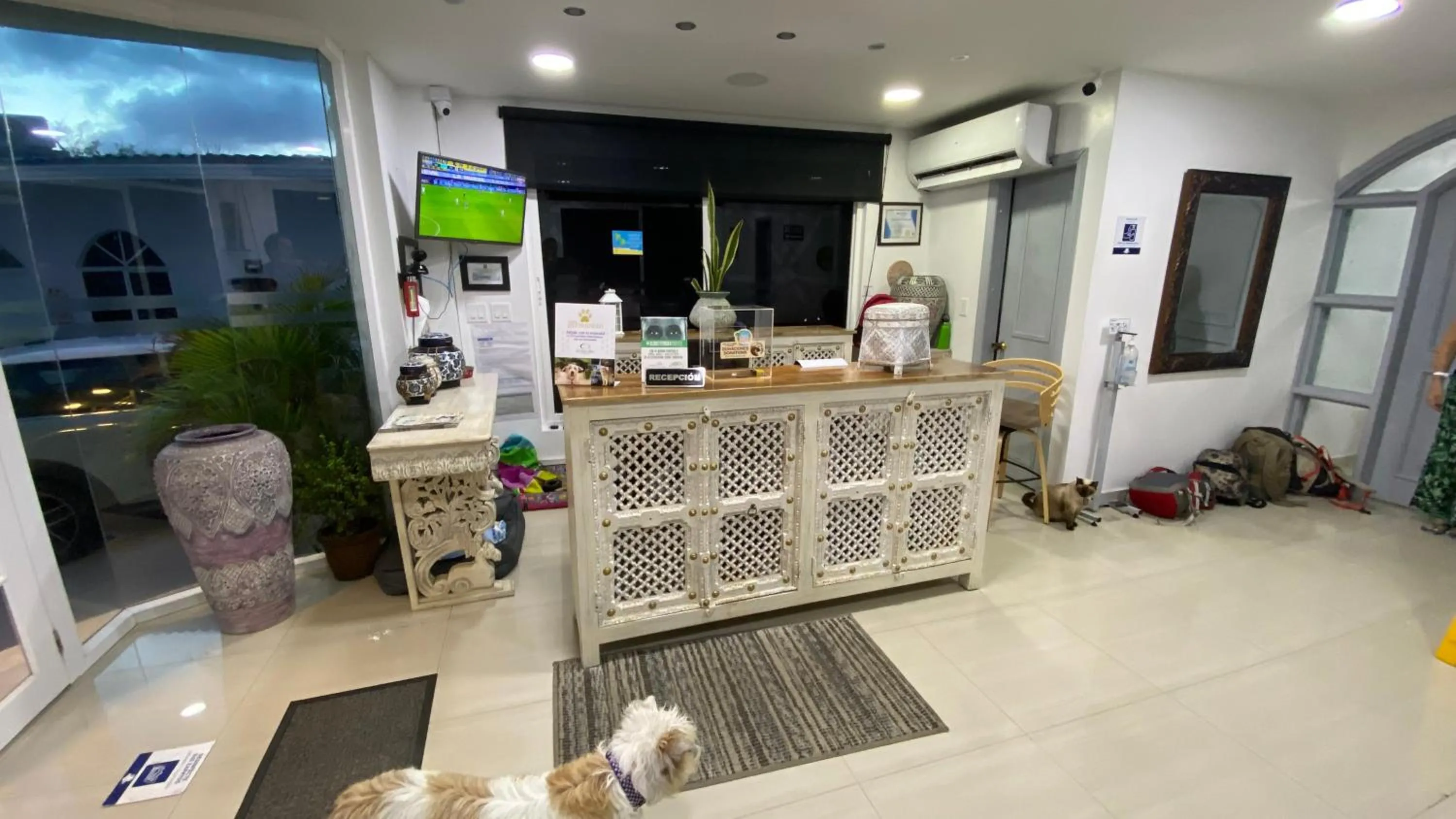 Lobby or reception in Le Castel Blanc Hotel Boutique