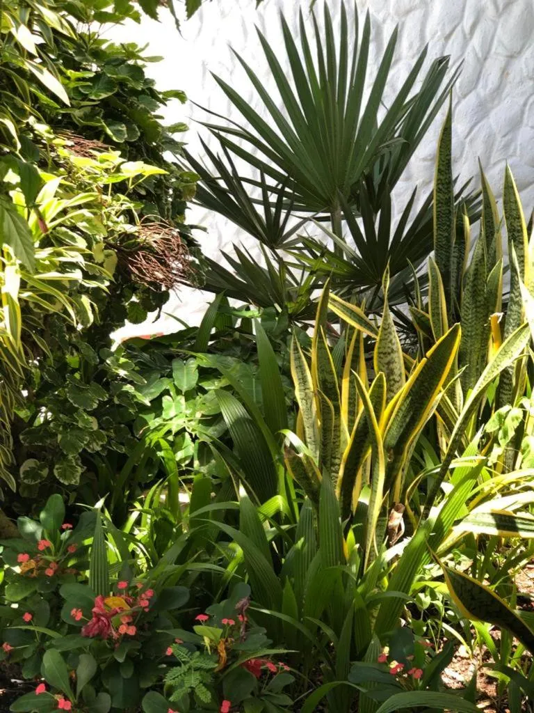 Garden in Le Castel Blanc Hotel Boutique