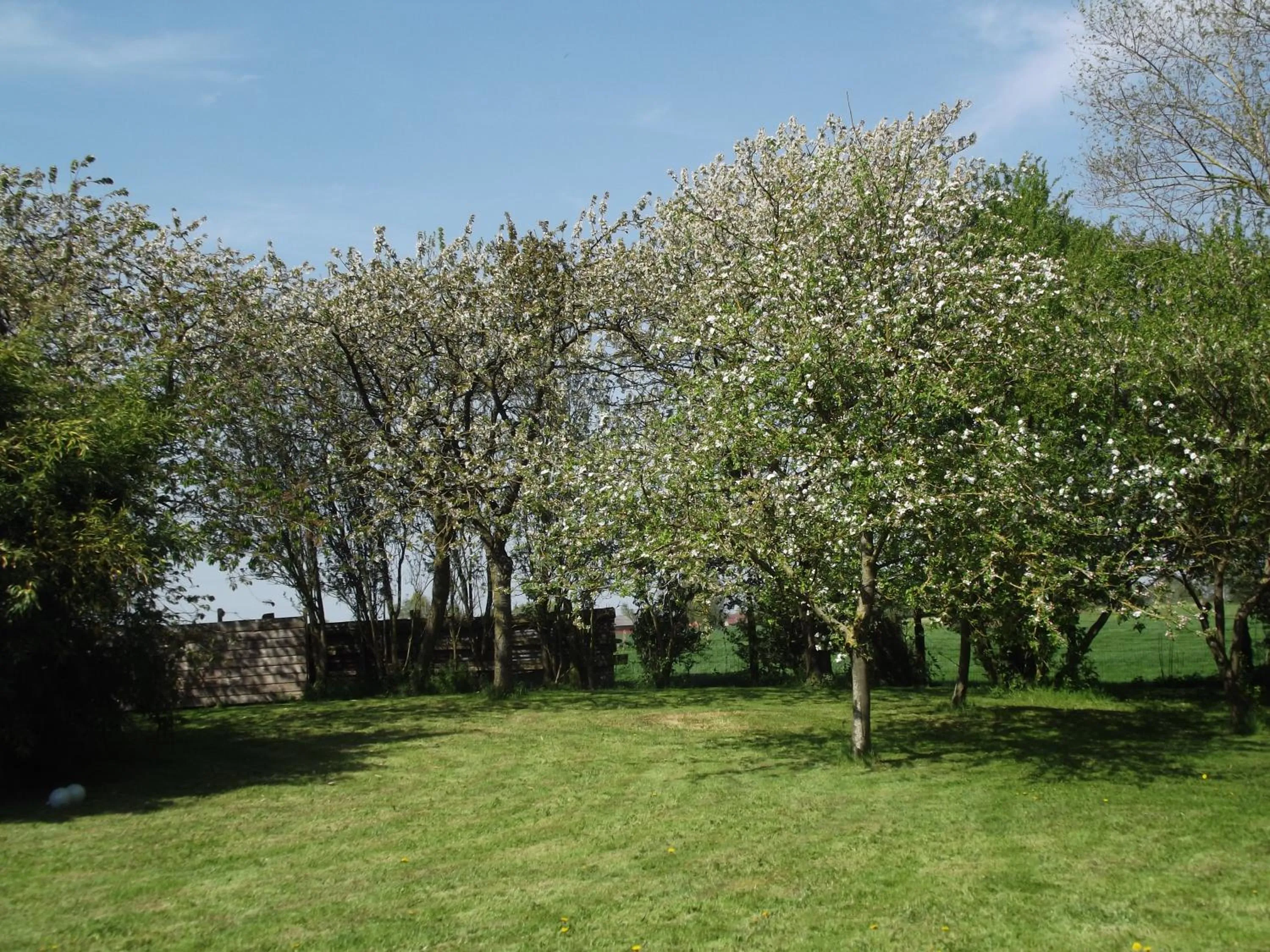 Garden view in Au Bonheur Frontalier