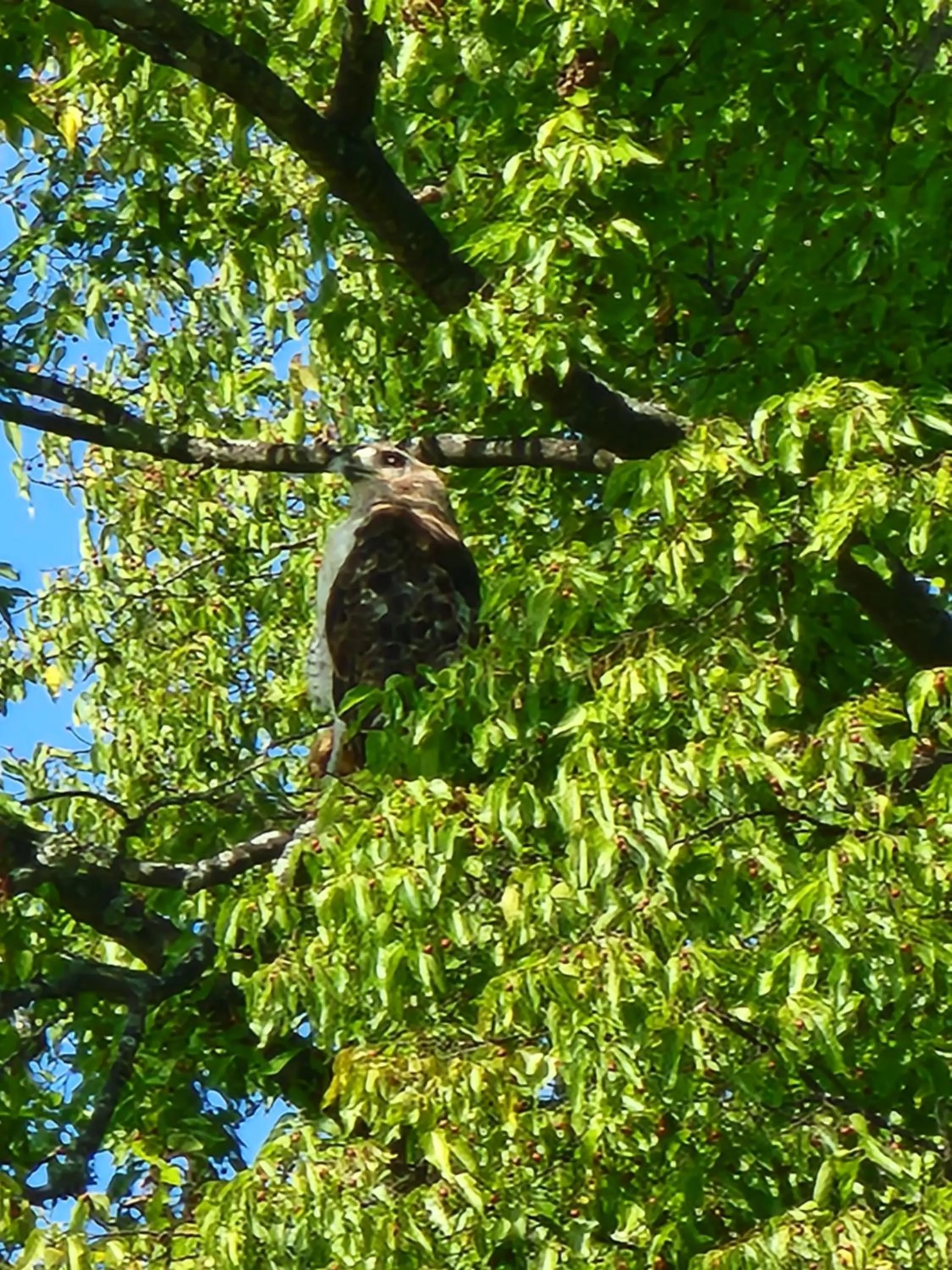 Natural landscape in Drakes Creek Inn - formerly The Relax Inn