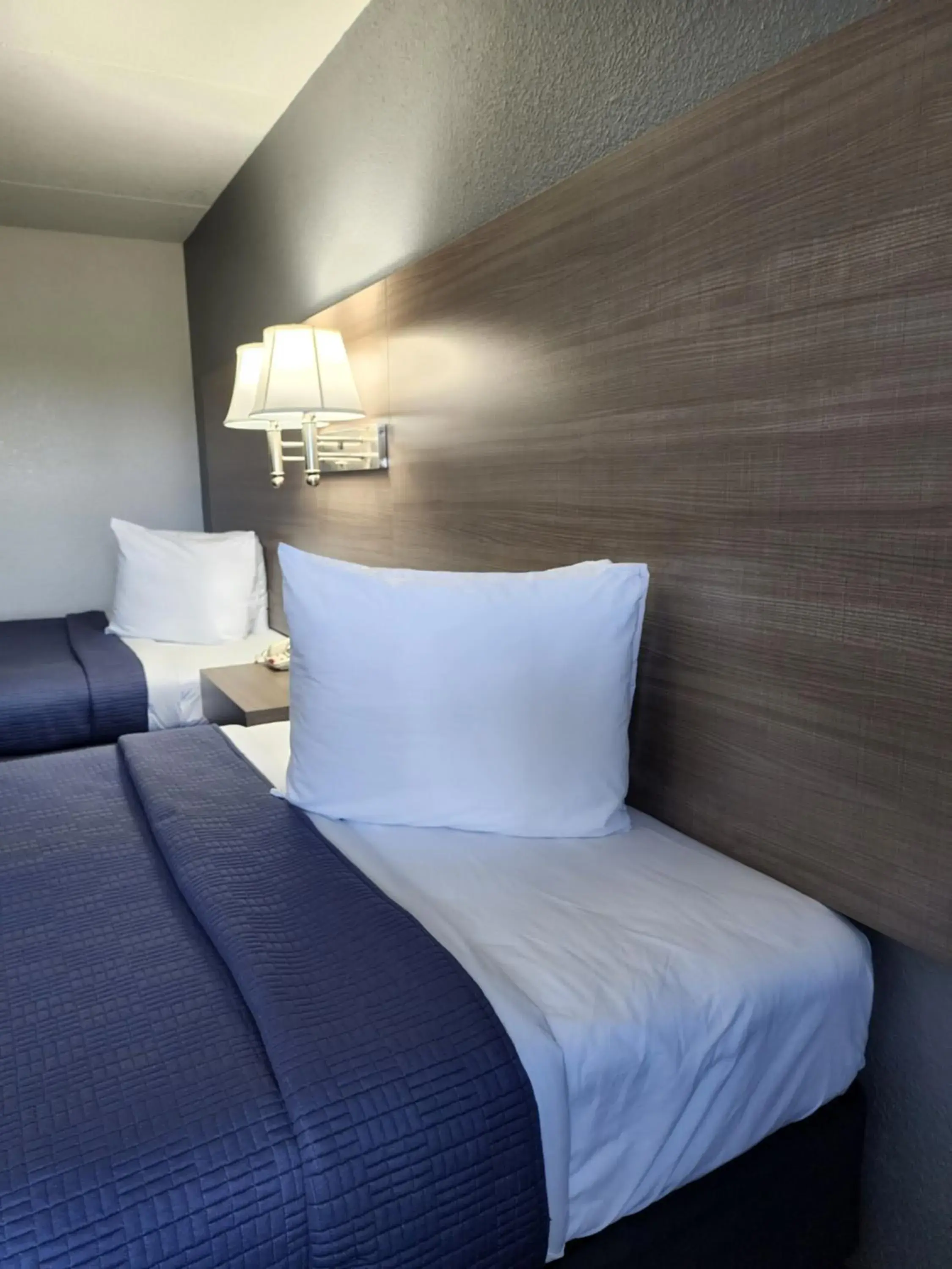 Bed in Drakes Creek Inn - formerly The Relax Inn Bed in Drakes Creek Inn - formerly The Relax Inn