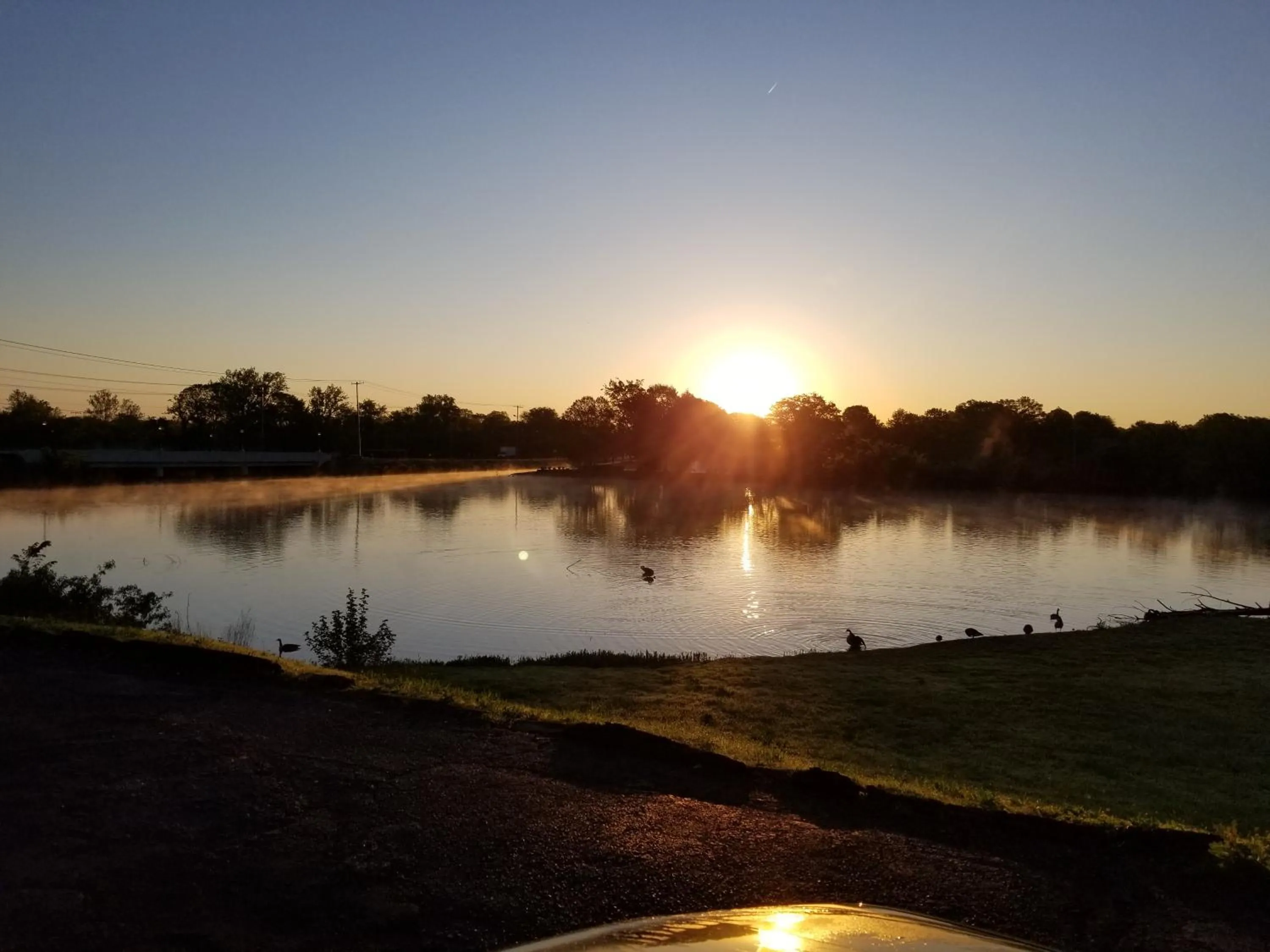 Natural landscape in Drakes Creek Inn - formerly The Relax Inn