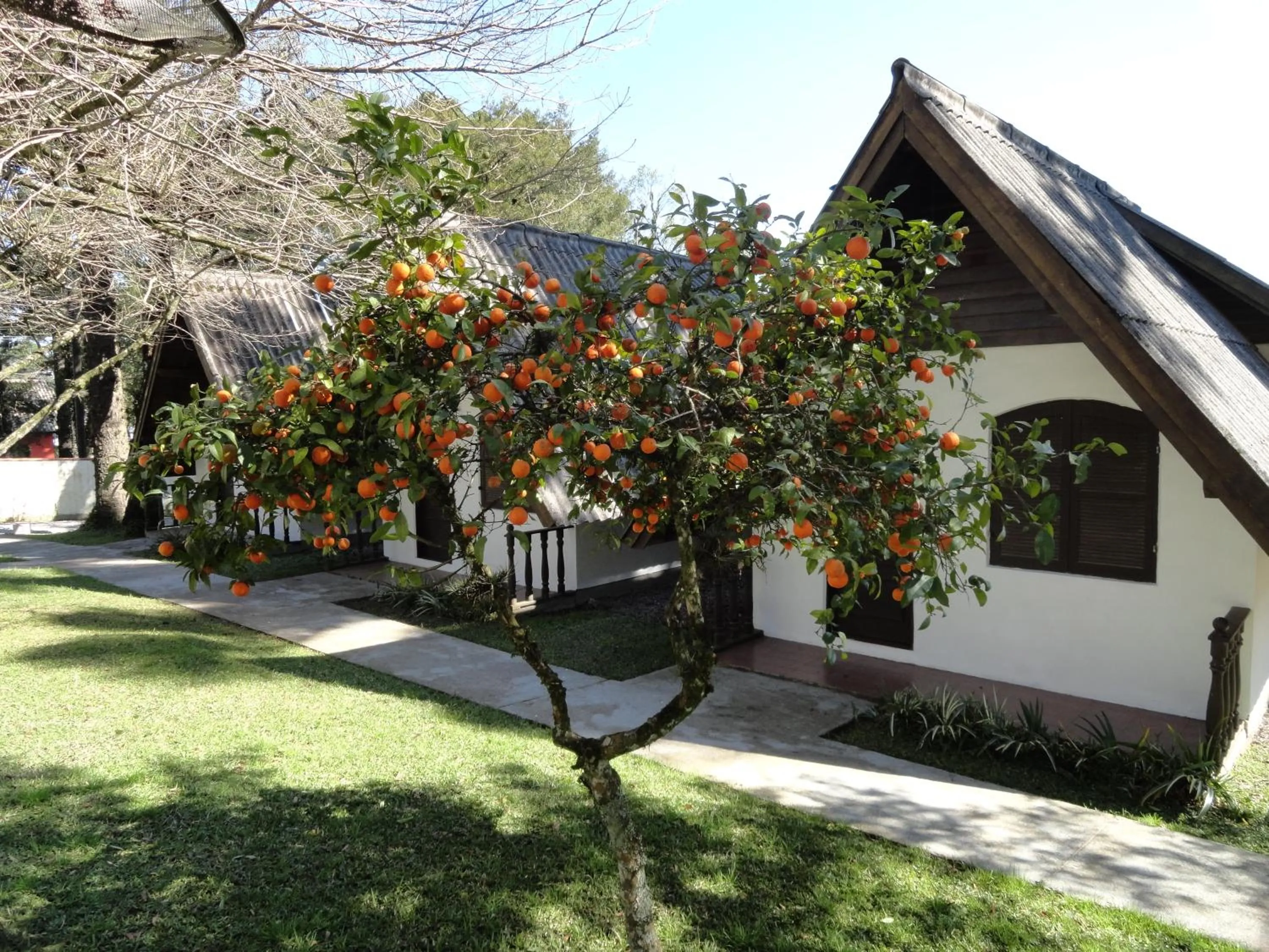 Hotel Pousada Dos Pinheiros