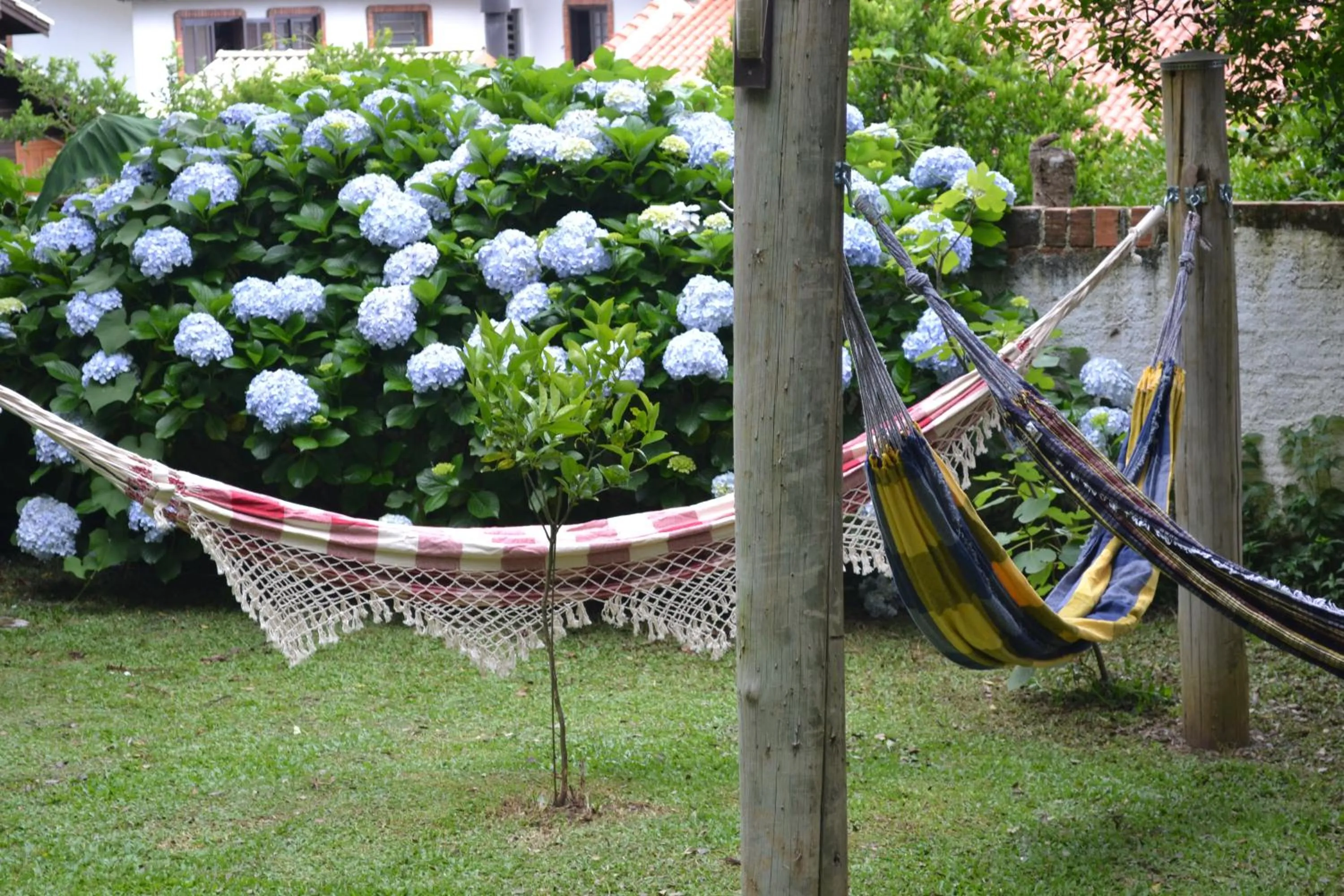 Hotel Pousada Dos Pinheiros