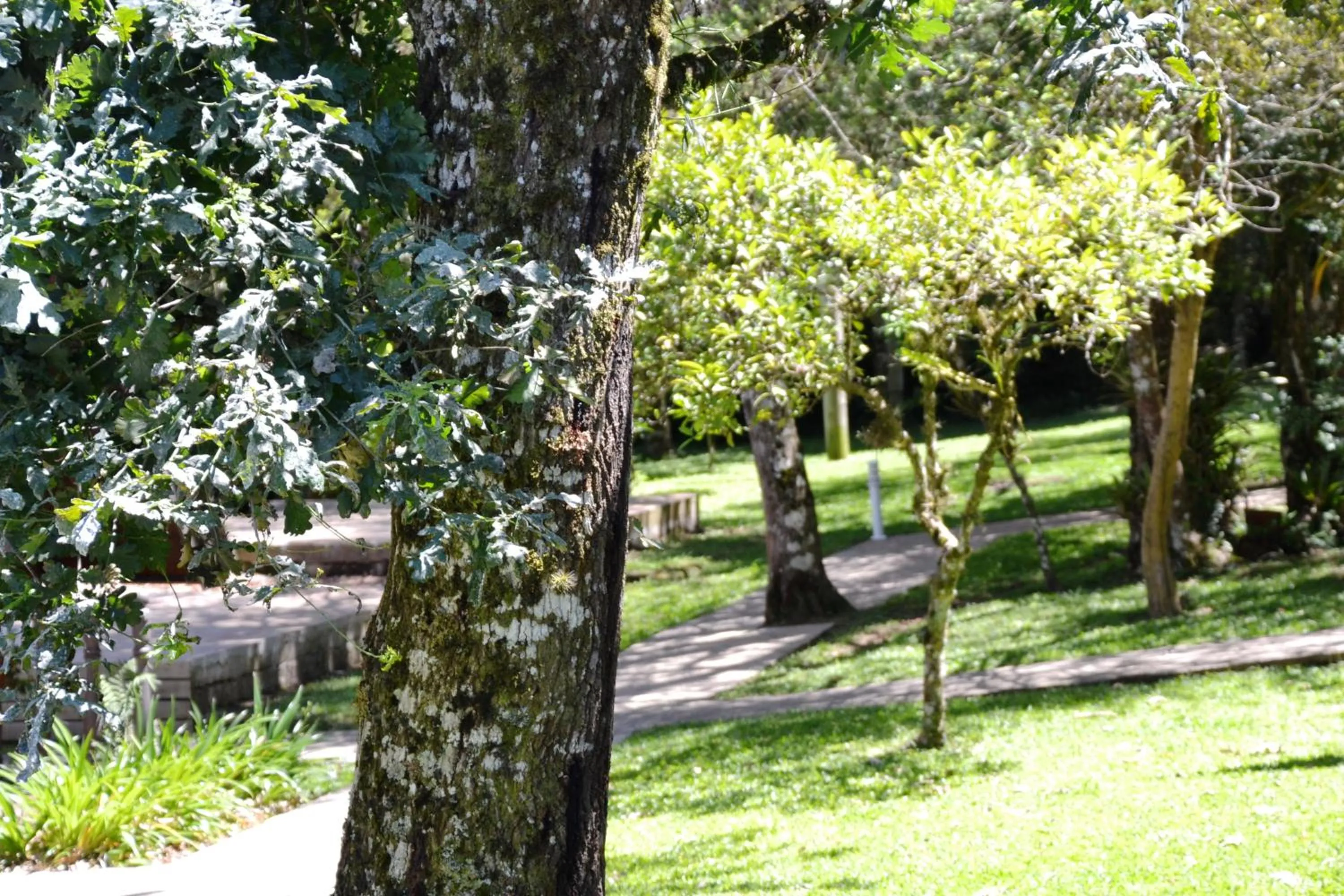 Property building in Hotel Pousada Dos Pinheiros