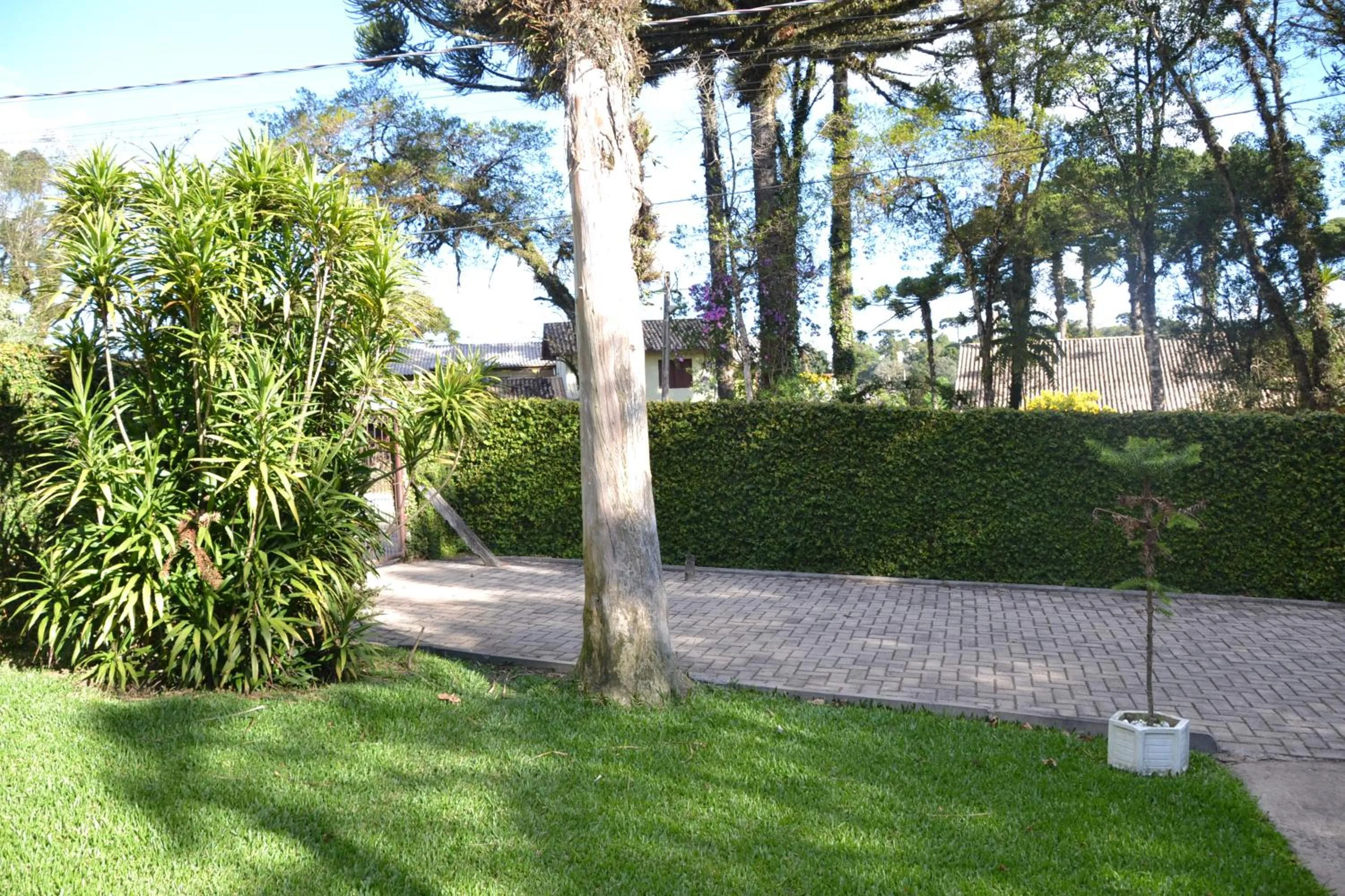 Property building in Hotel Pousada Dos Pinheiros