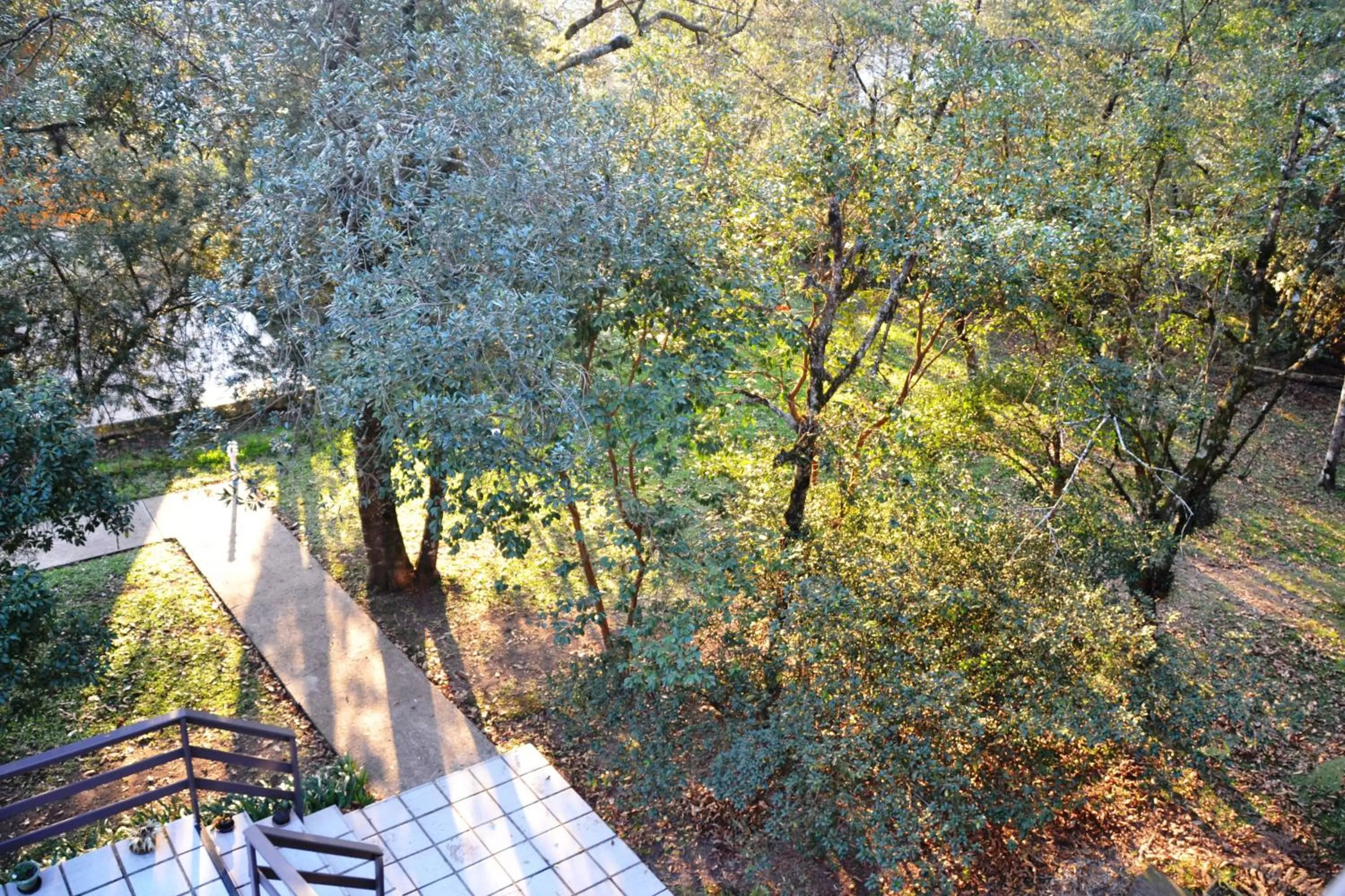 View (from property/room) in Hotel Pousada Dos Pinheiros