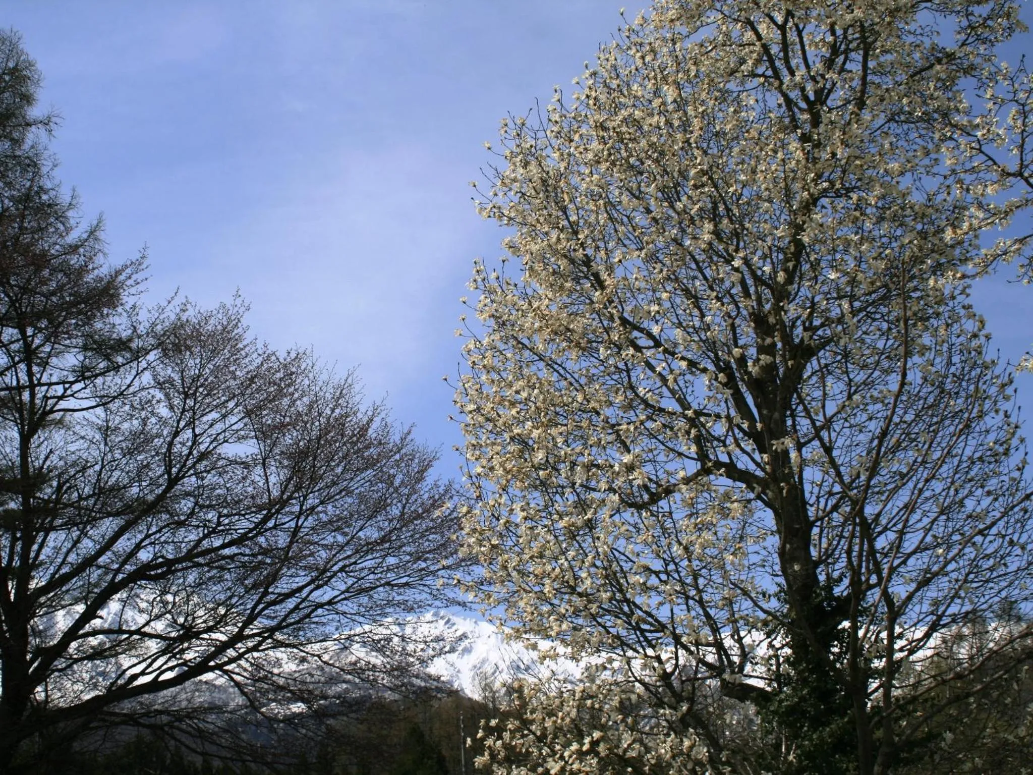 Off site in Hotel Abest Happo Aldea