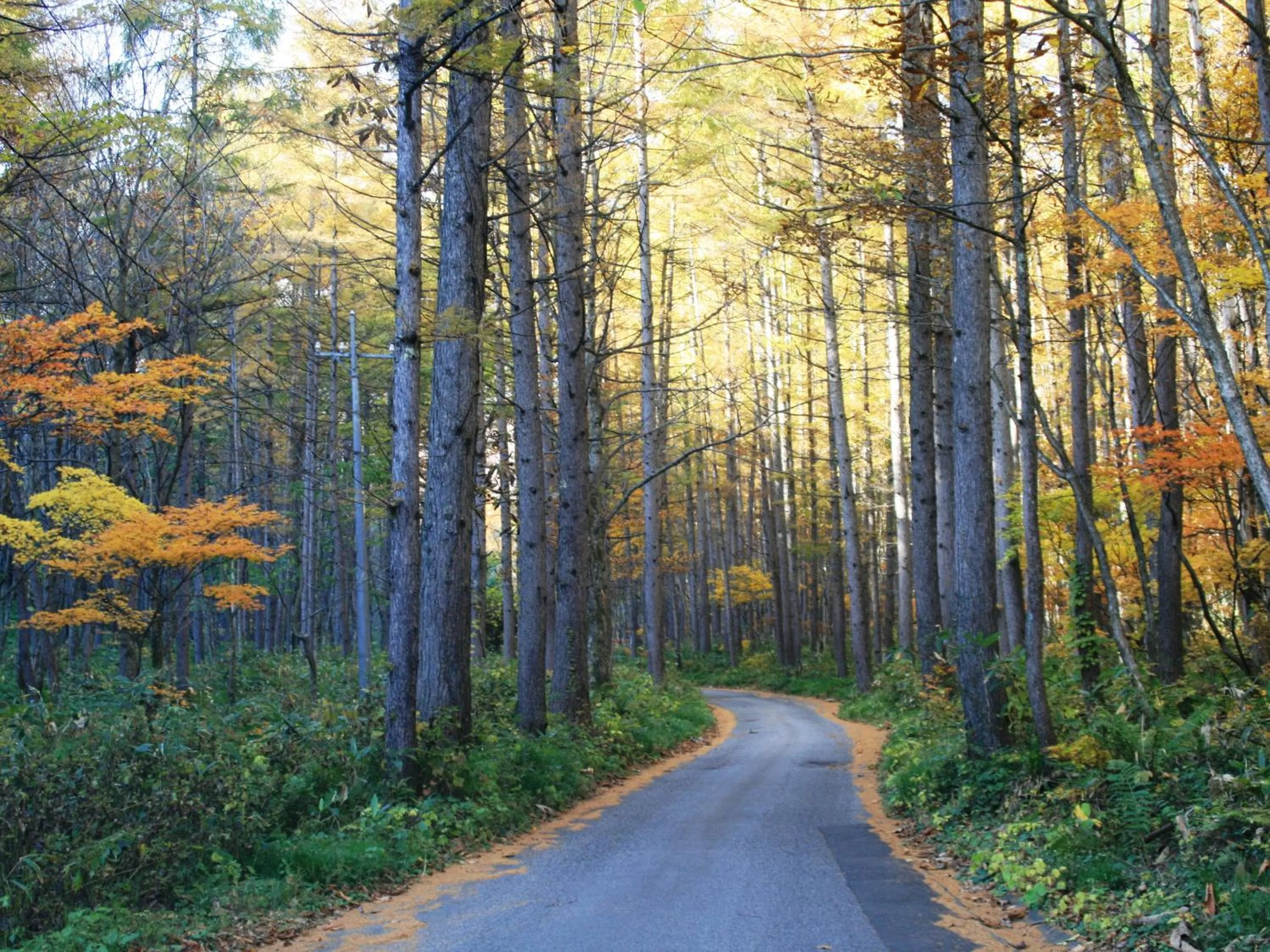 Off site in Hotel Abest Happo Aldea