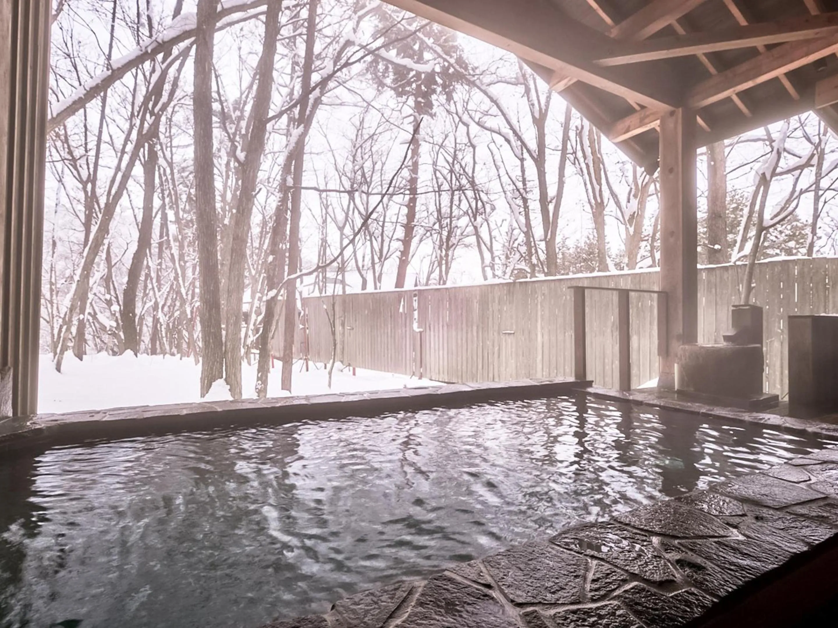 Public Bath in Hotel Abest Happo Aldea