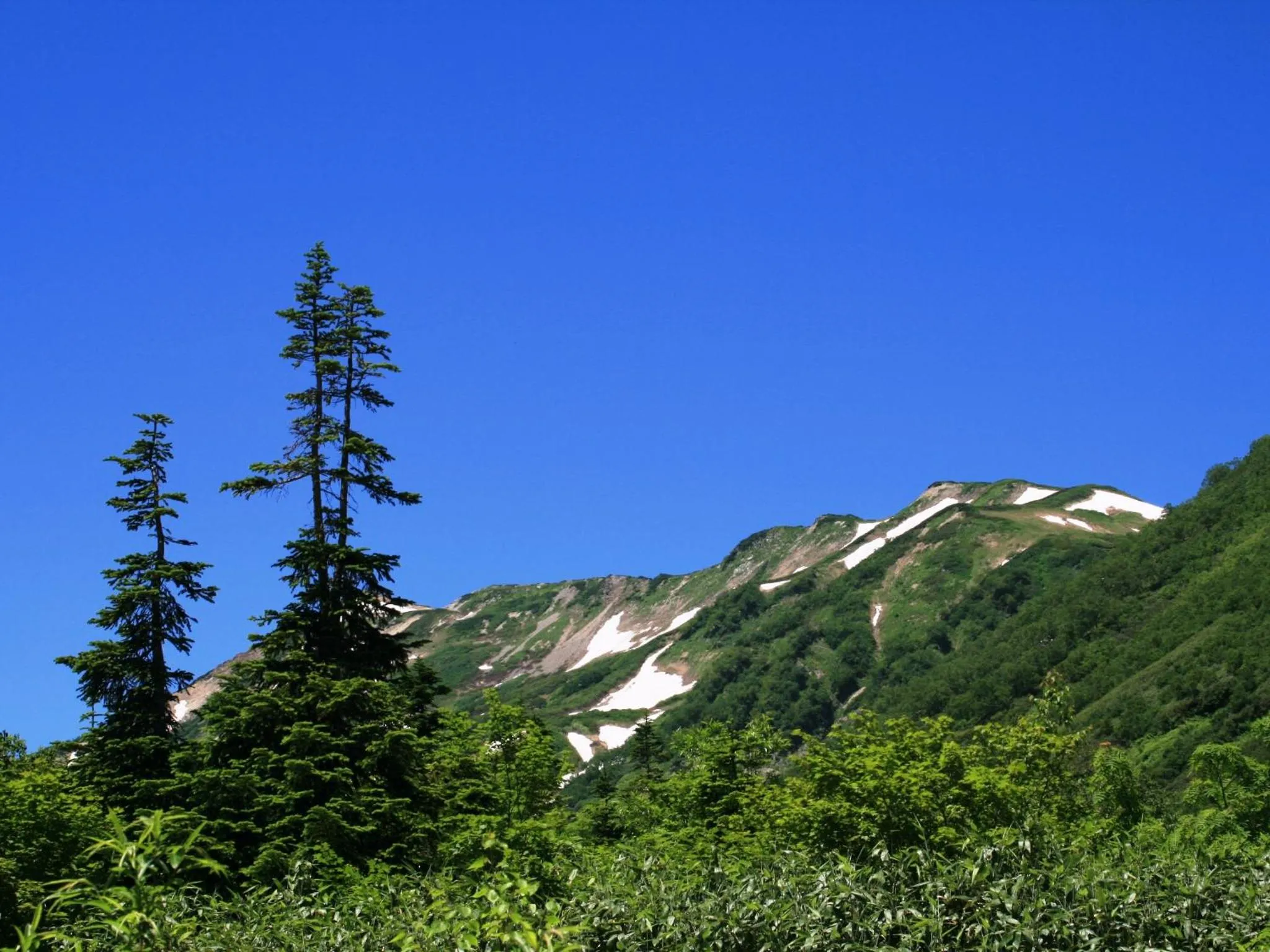 Off site in Hotel Abest Happo Aldea