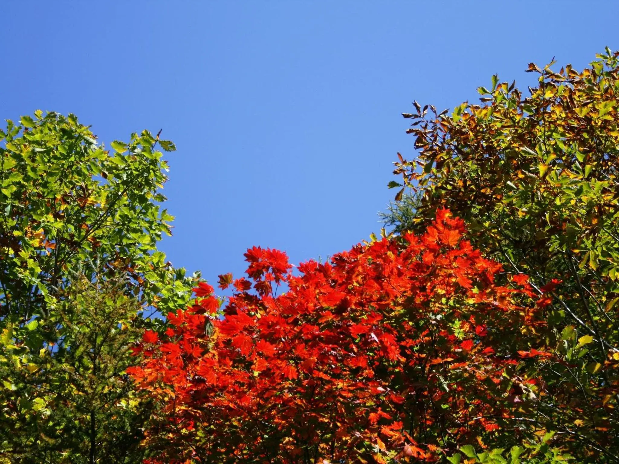 Facade/entrance in Hotel Abest Happo Aldea Facade/entrance in Hotel Abest Happo Aldea