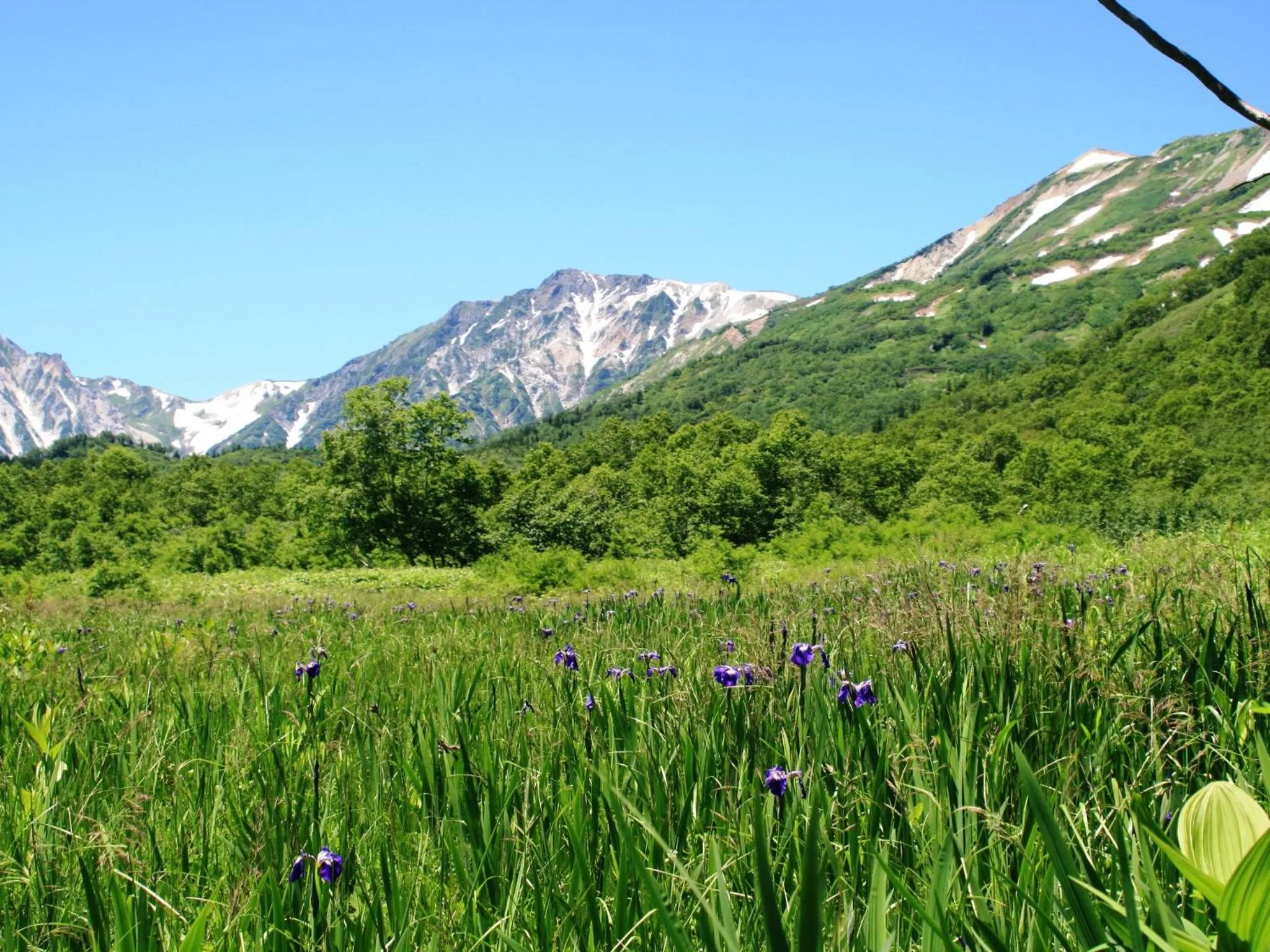 Off site in Hotel Abest Happo Aldea