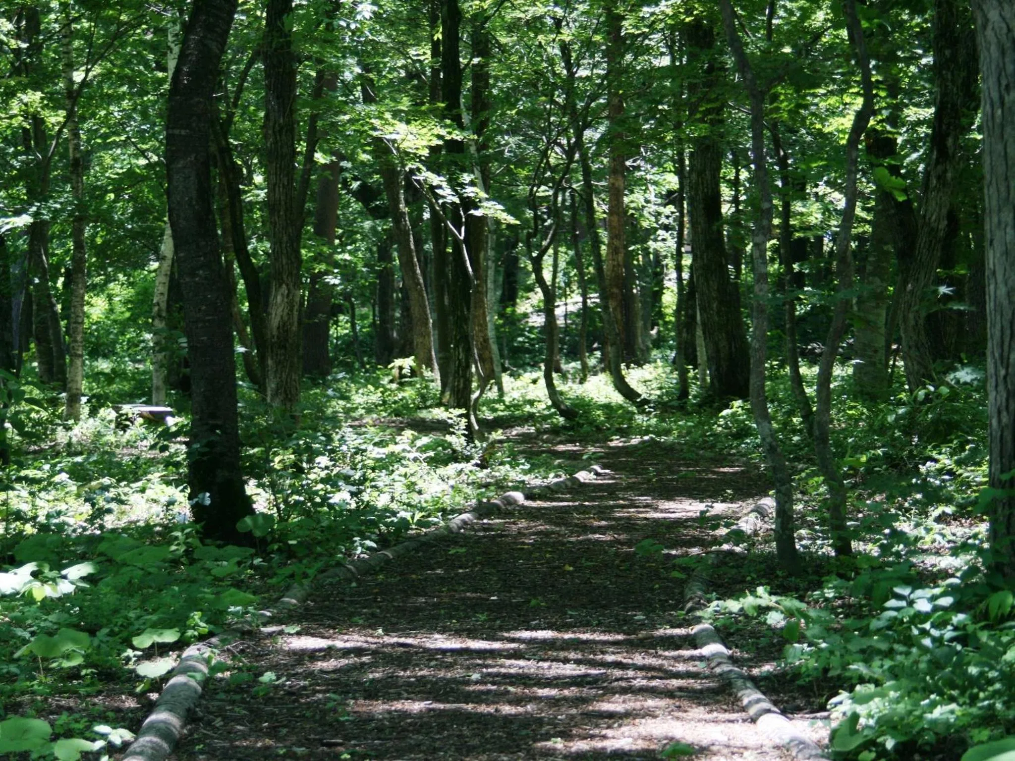 Off site in Hotel Abest Happo Aldea