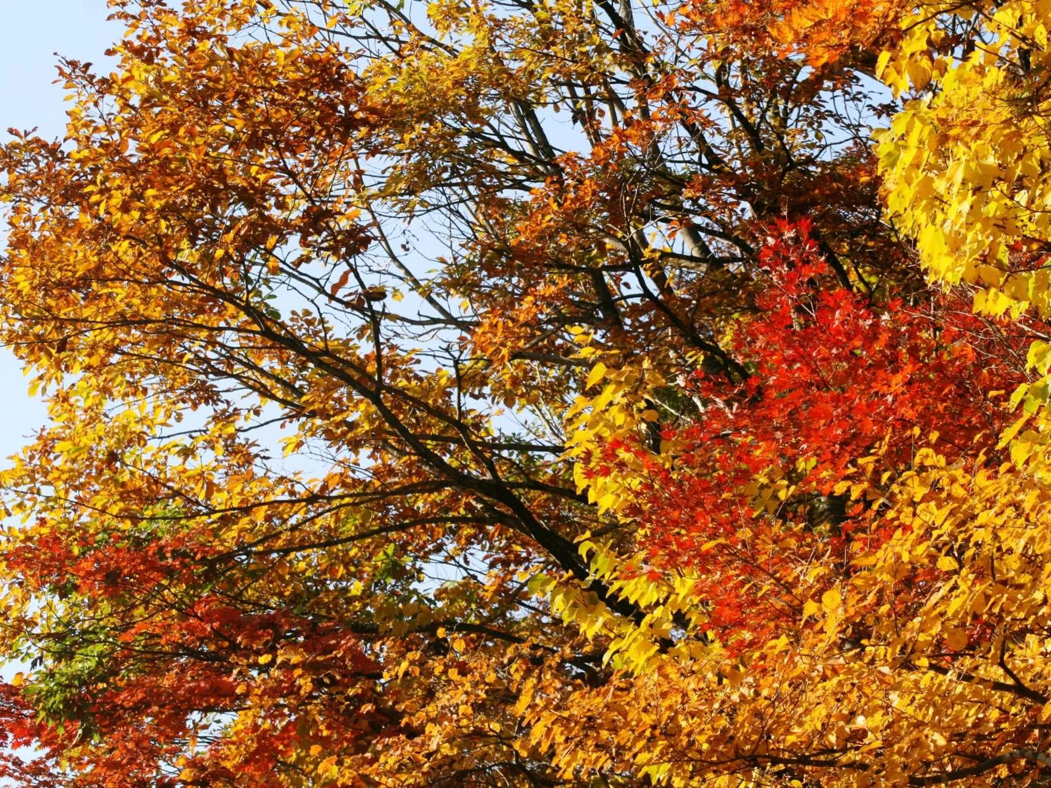 Off site in Hotel Abest Happo Aldea