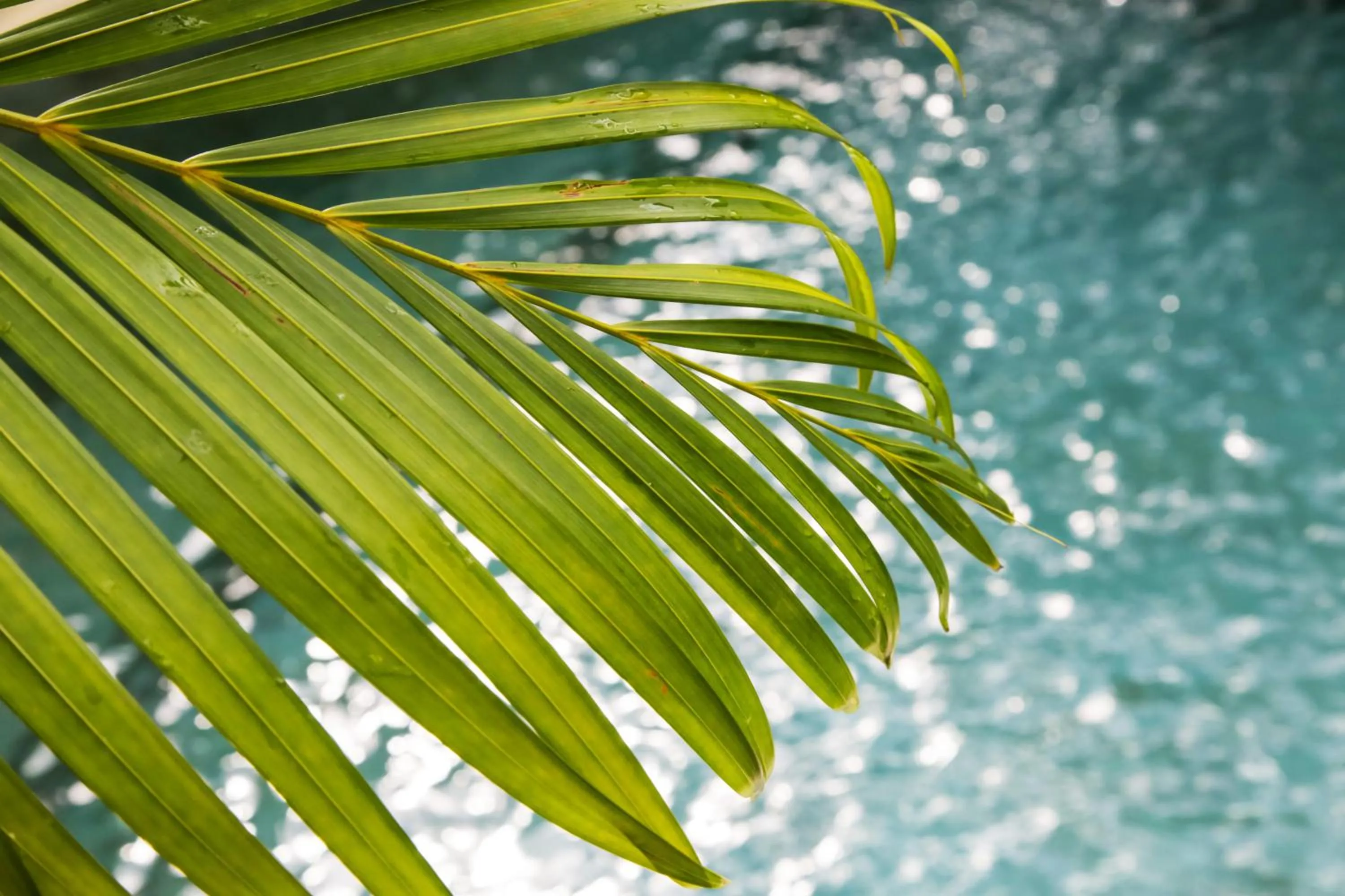 Decorative detail in Villa Air Bali Boutique Resort and Spa