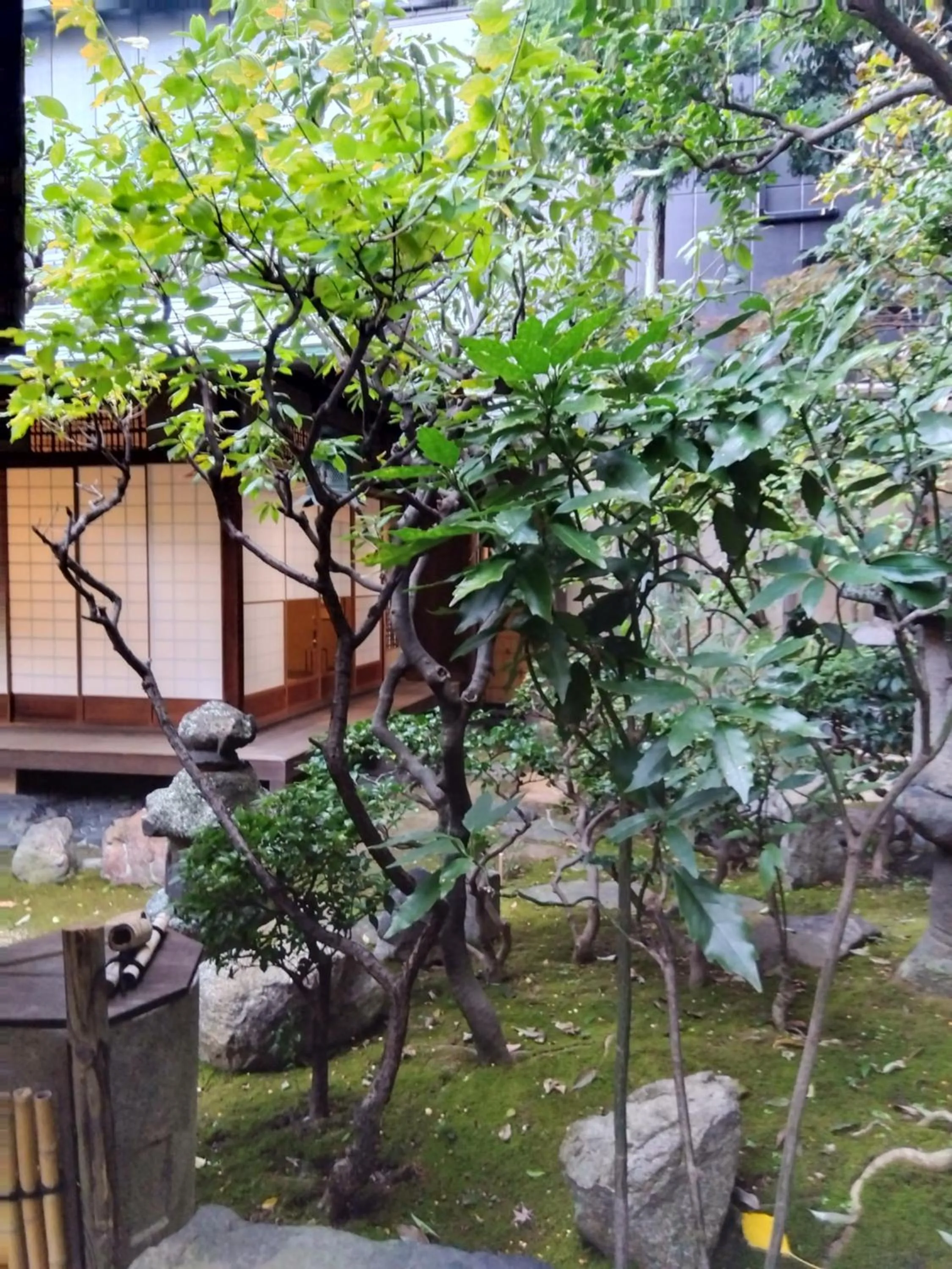 Garden in Nissho Besso