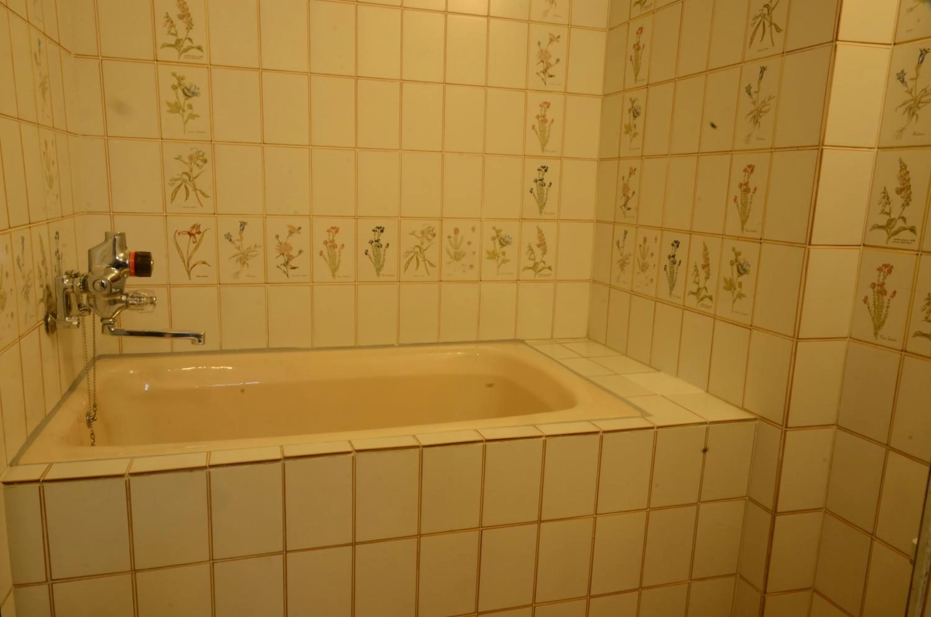 Hot Tub in Nissho Besso