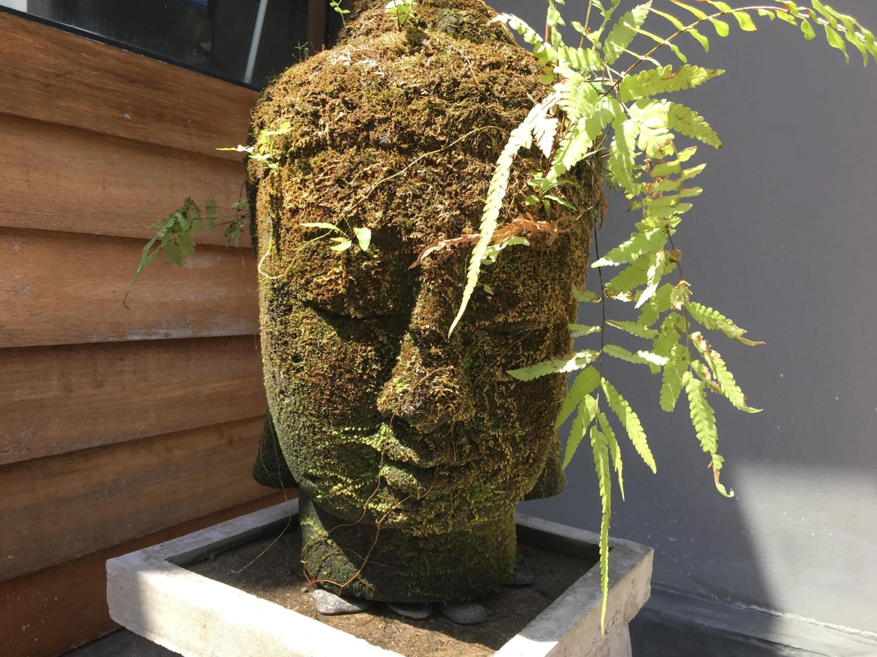 Garden in Baan Andaman Sea Surf