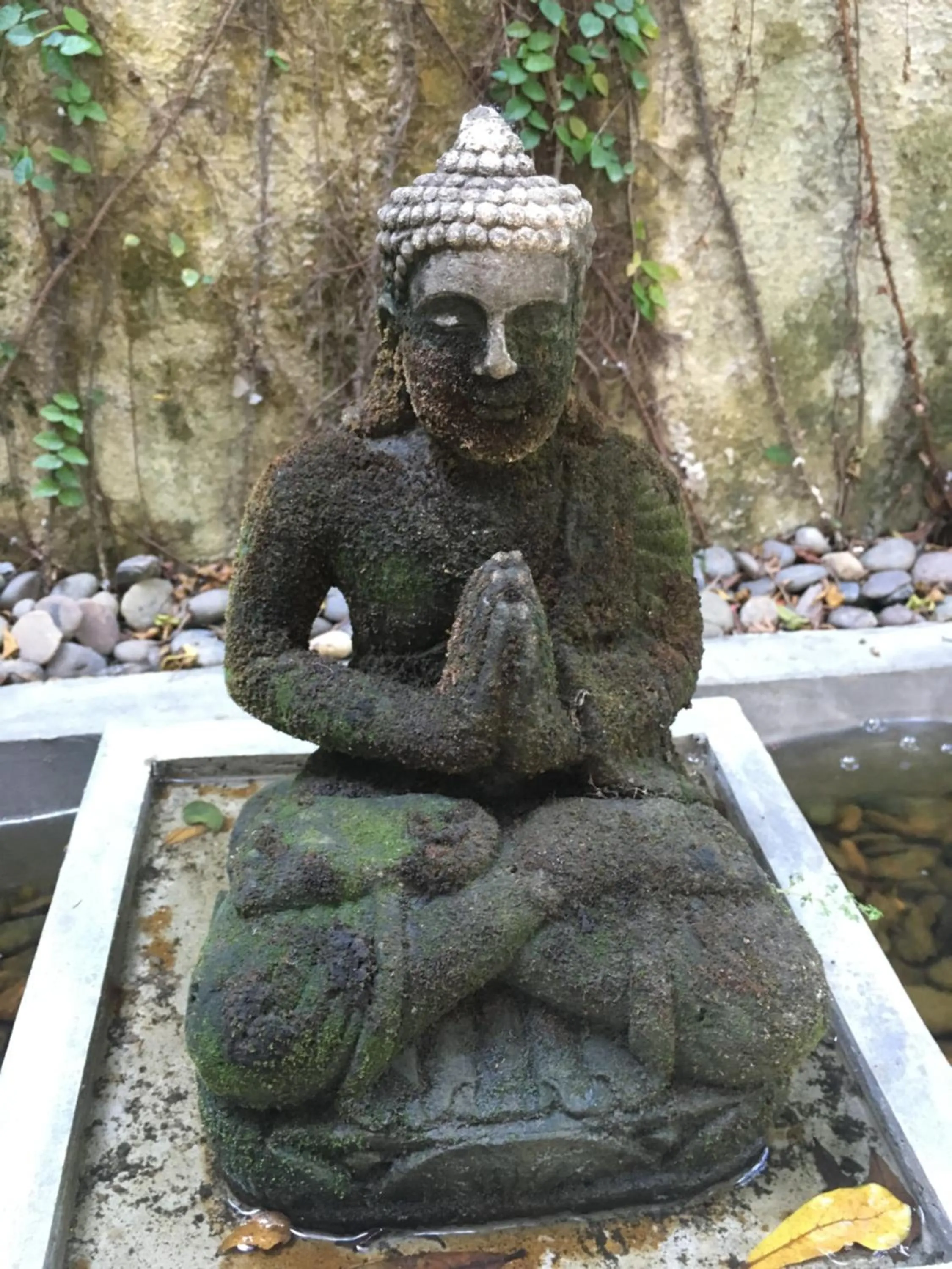 Garden in Baan Andaman Sea Surf