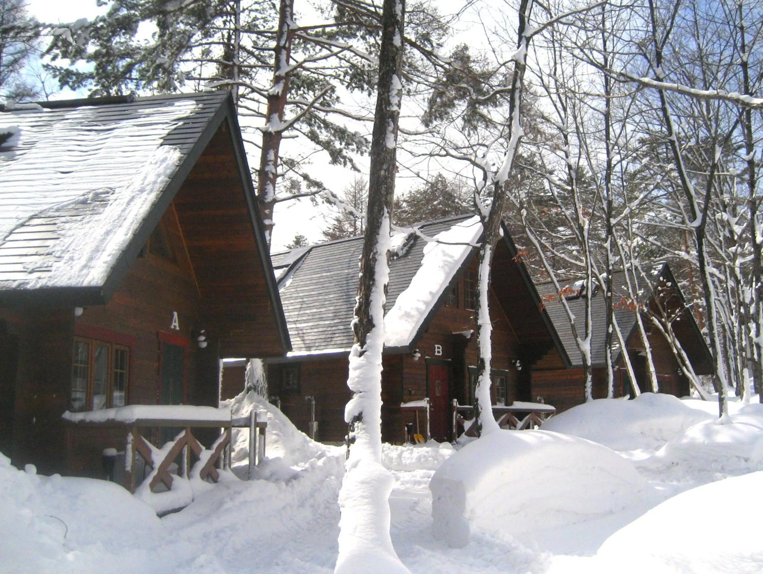 Property building in Hakuba Brownie Cottages