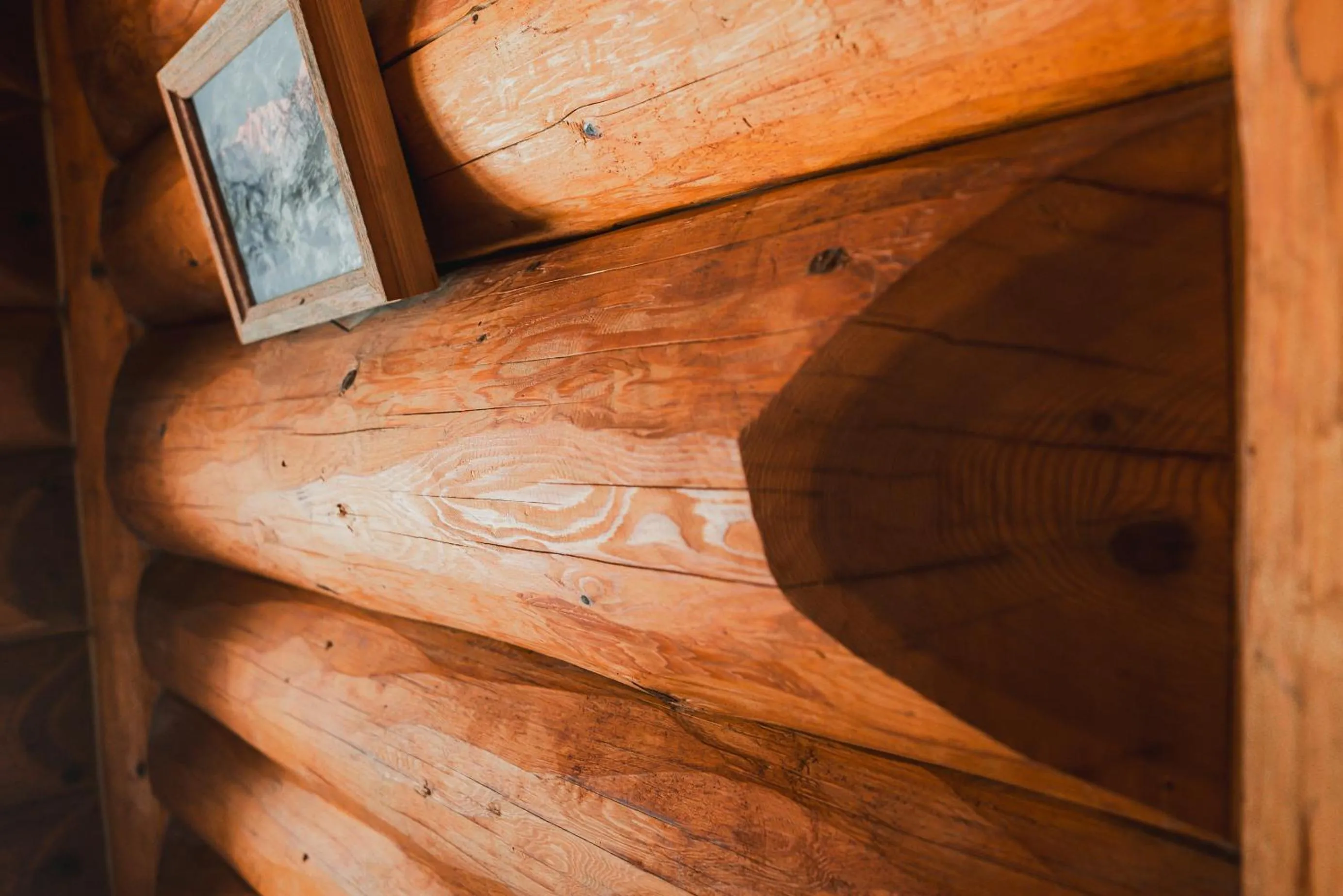 Photo of the whole room in Hakuba Brownie Cottages