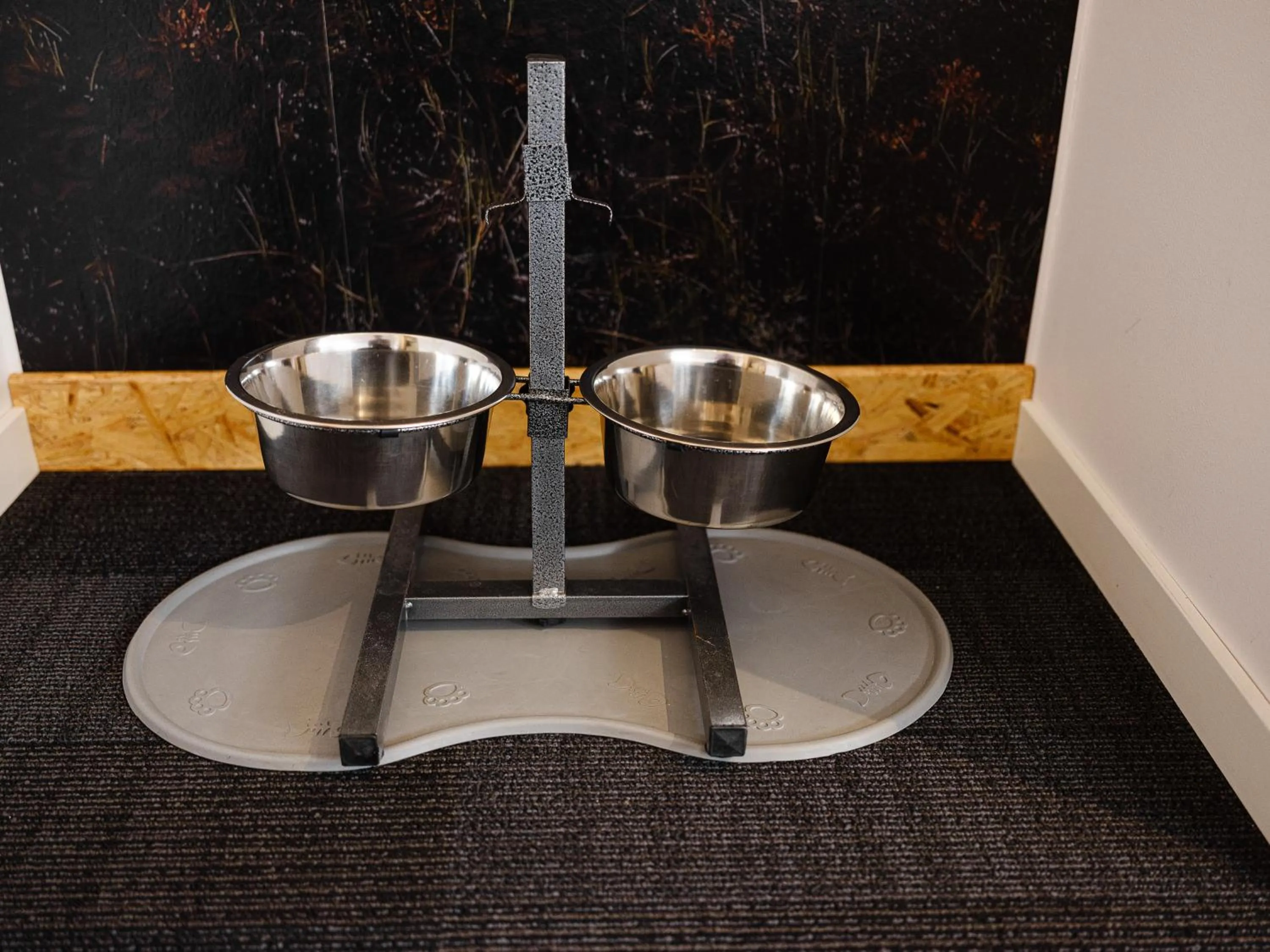 Animals in Norrland YMCA Hostel Umeå