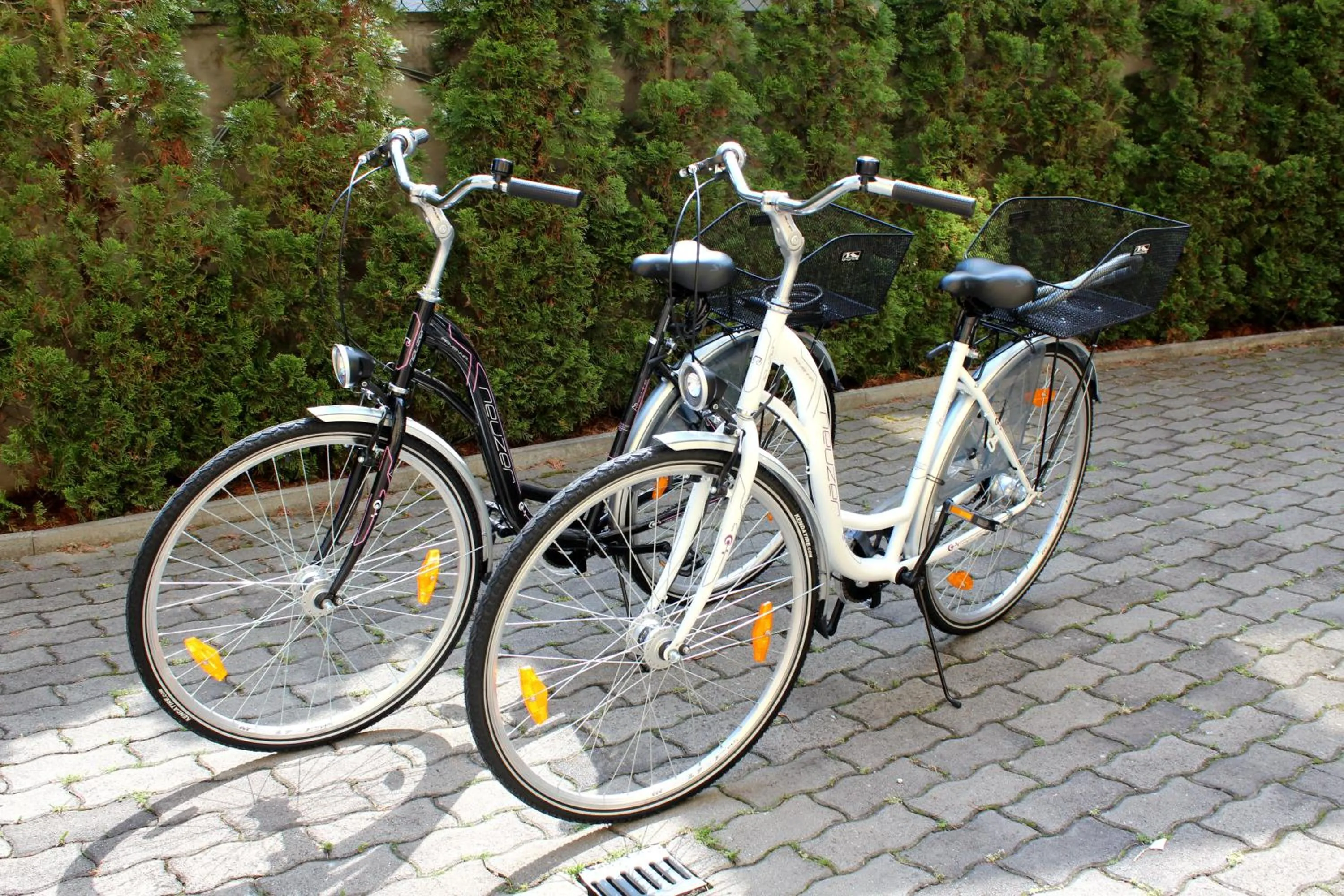 Cycling in Anett Villa