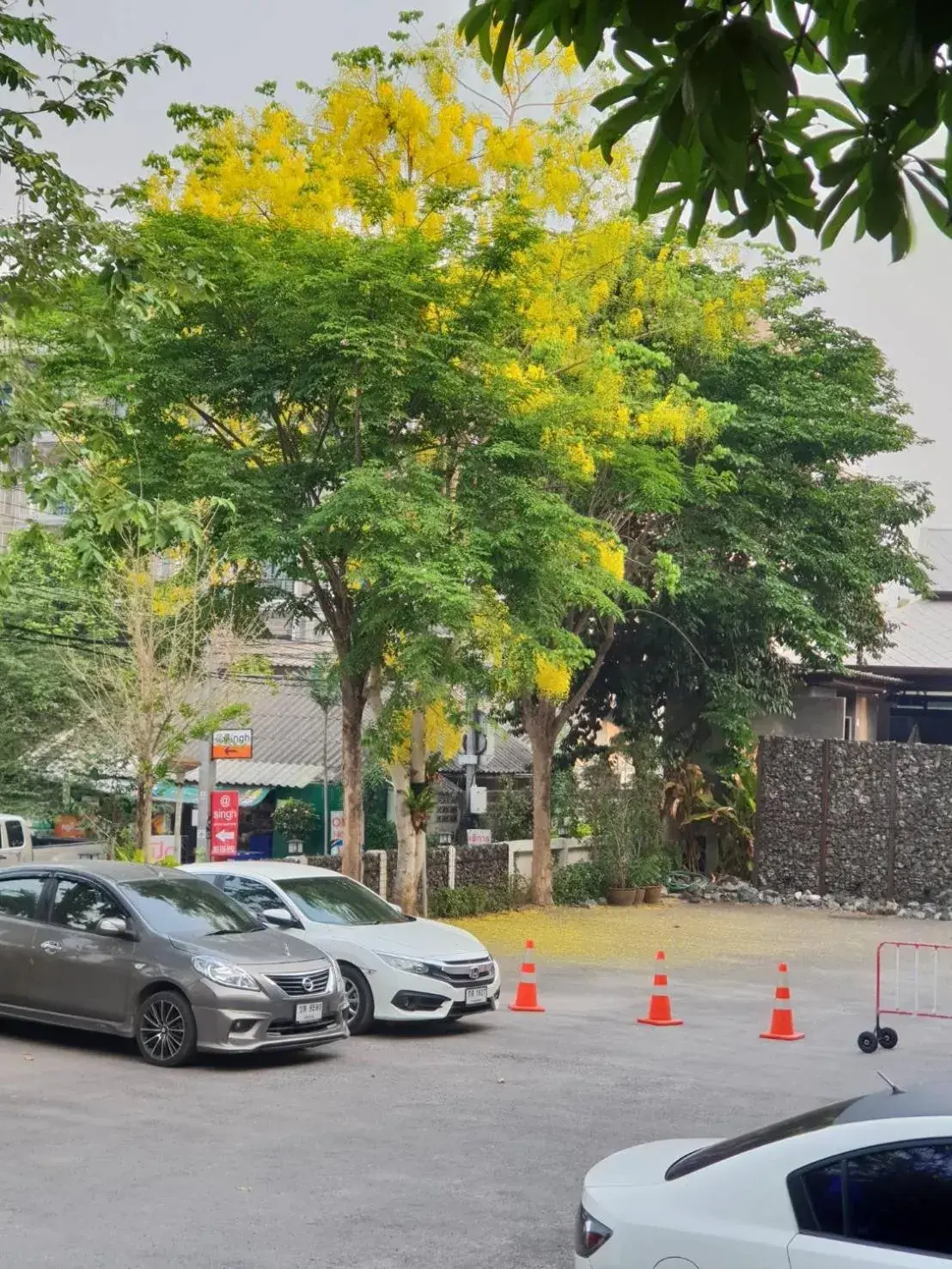 Property building in S48 Hotel Property building in S48 Hotel