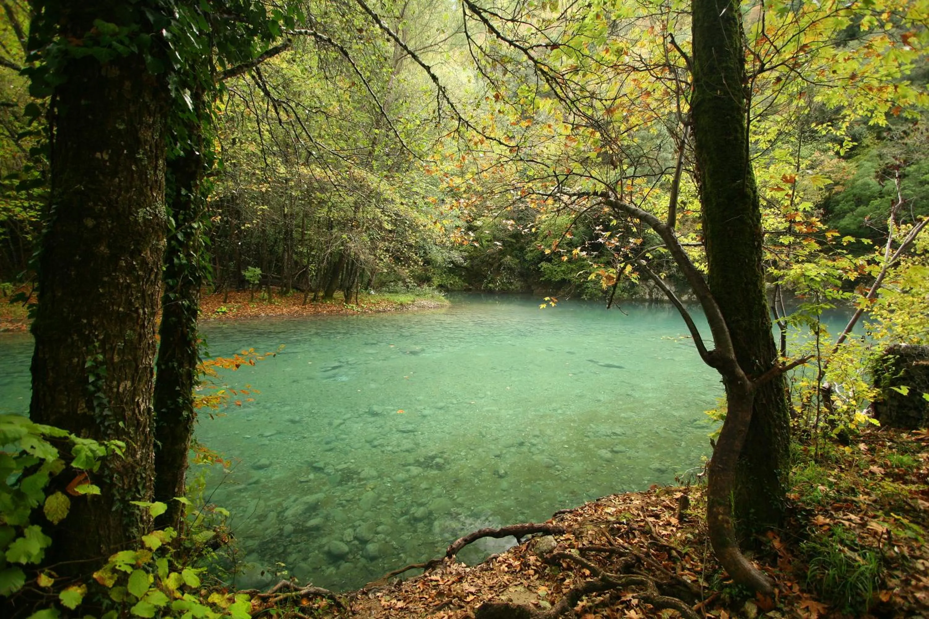 River view in Artsistas Houses
