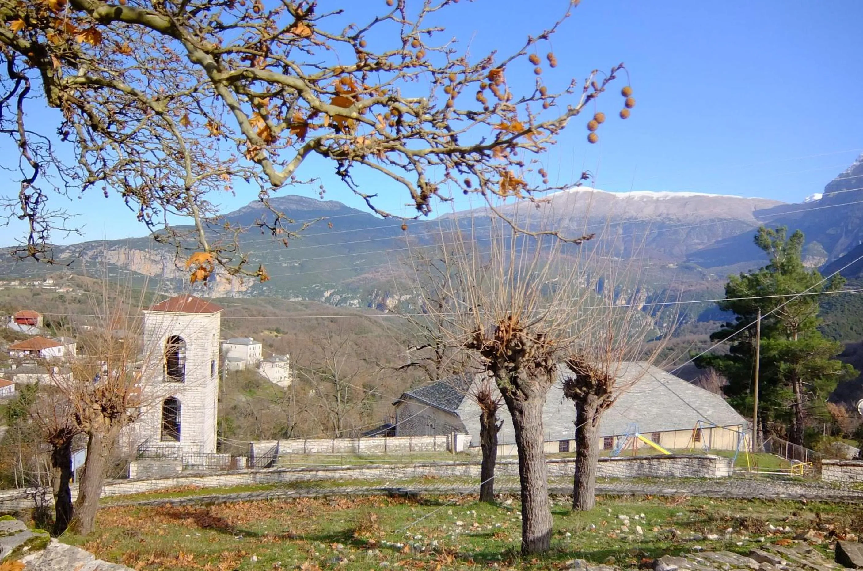 Neighbourhood in Artsistas Houses