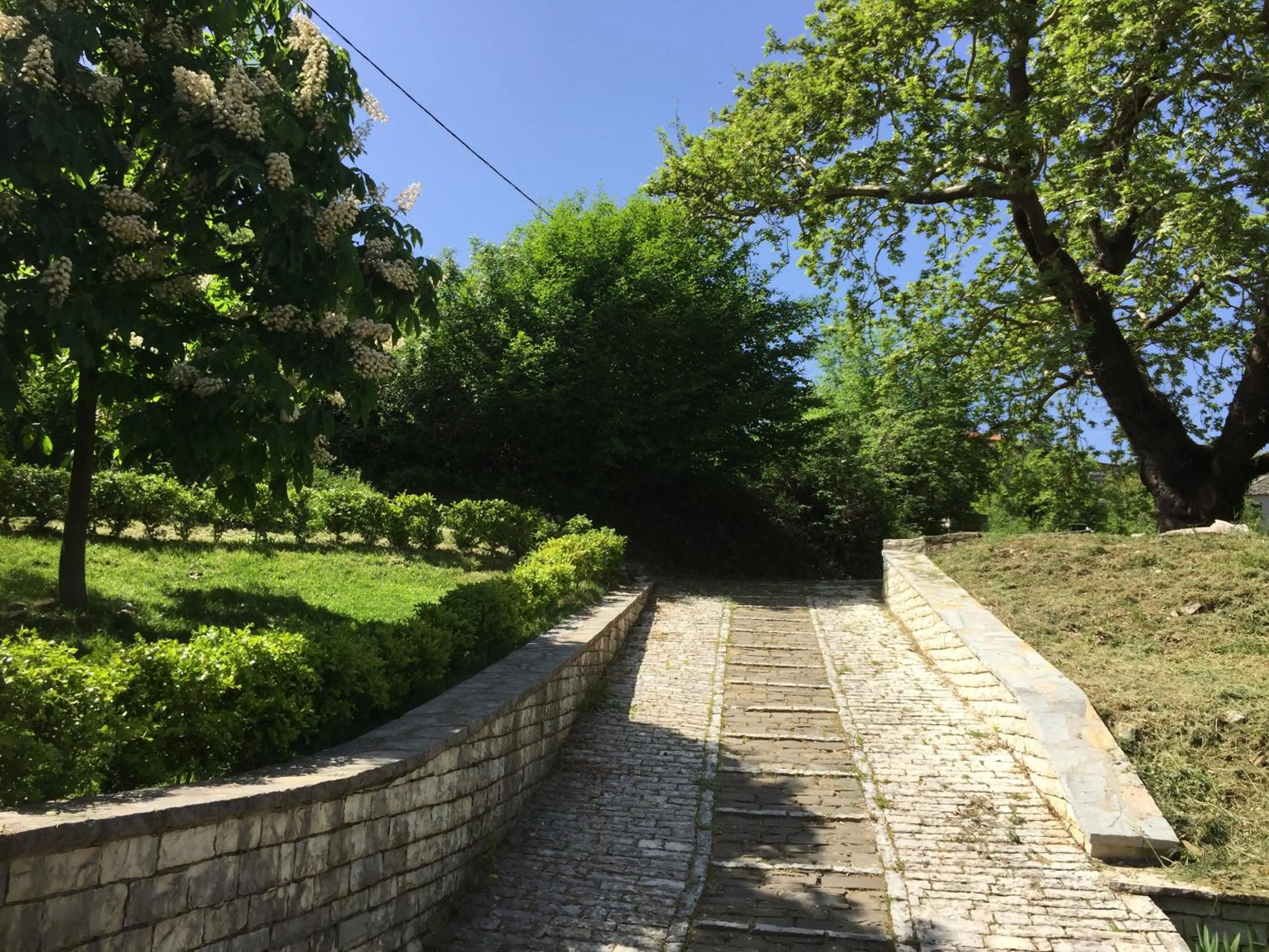 Other in Artsistas Houses