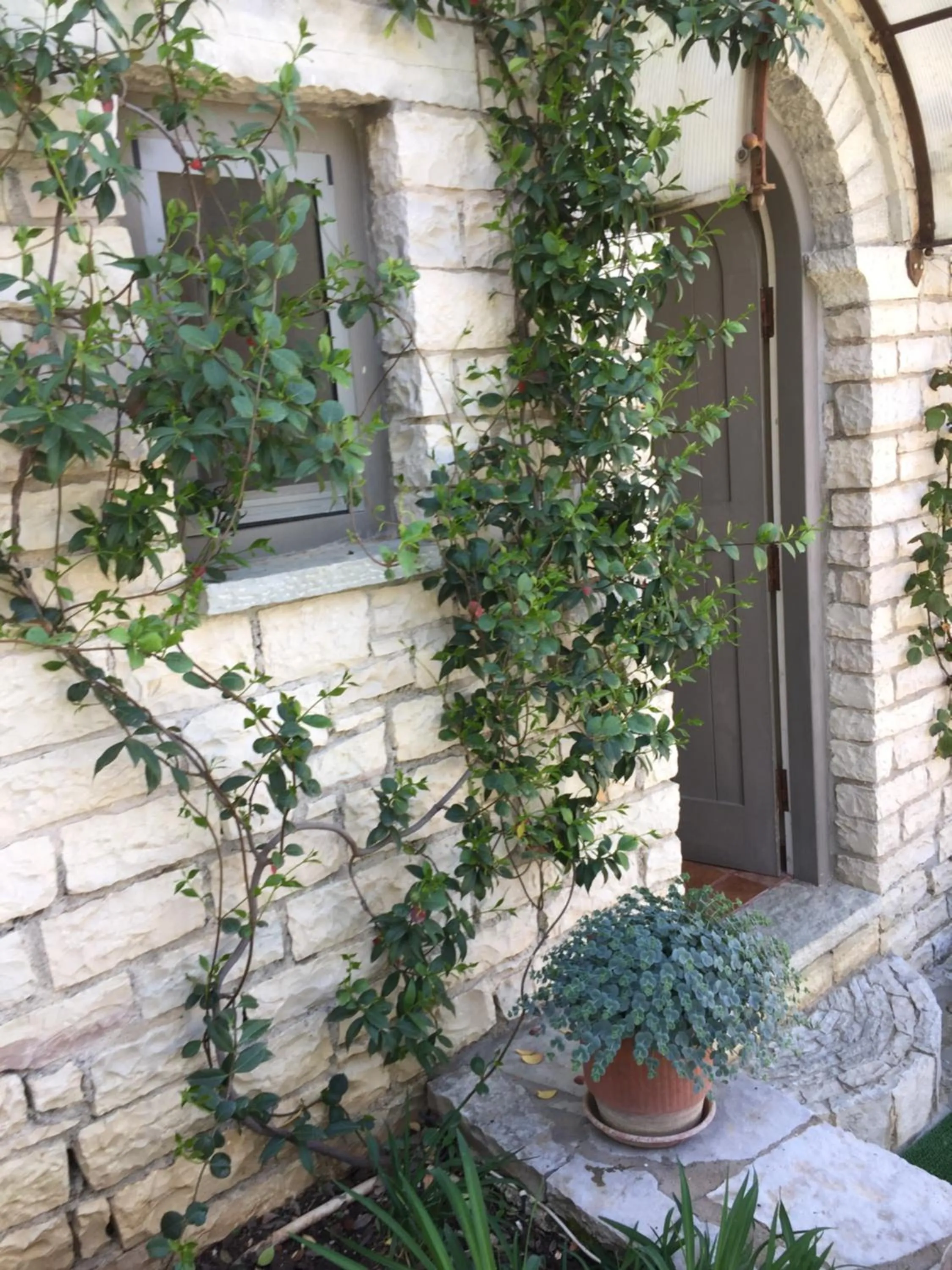 Property building in Artsistas Houses