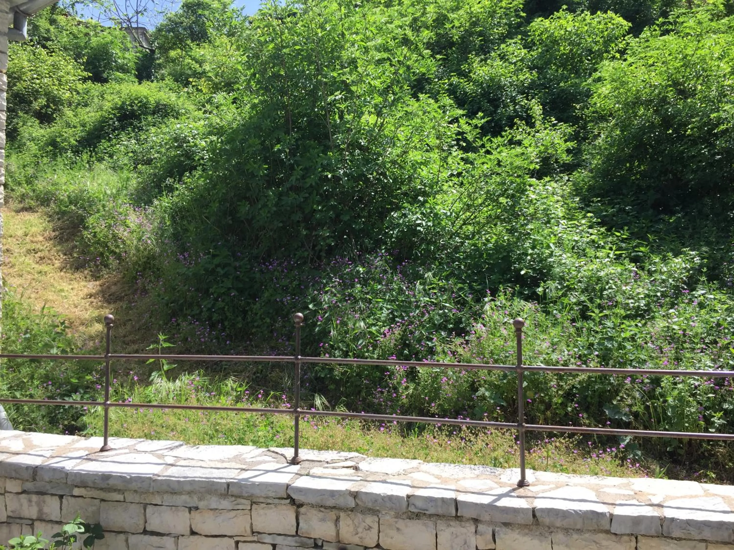 Natural landscape in Artsistas Houses