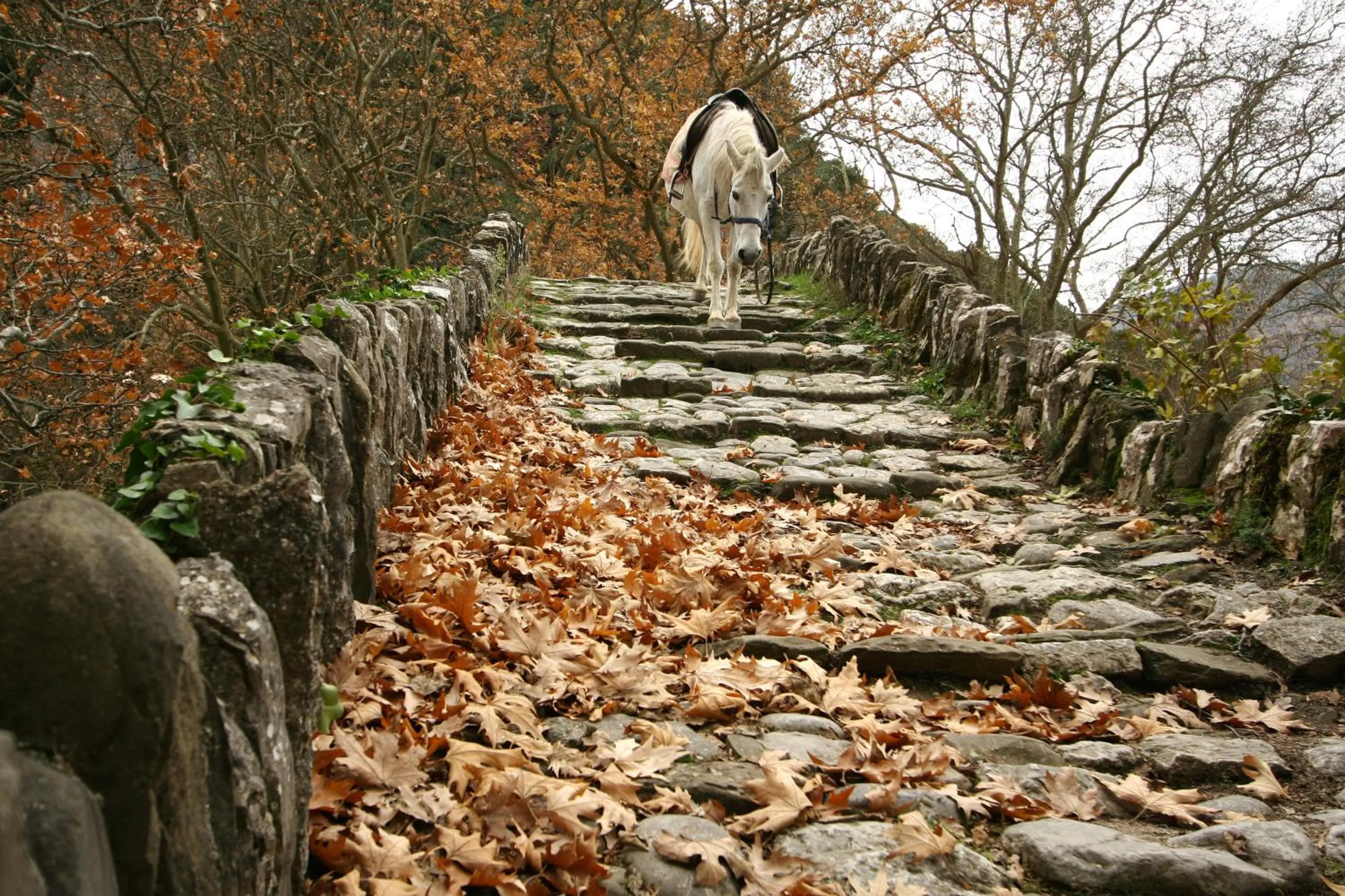 Day in Artsistas Houses