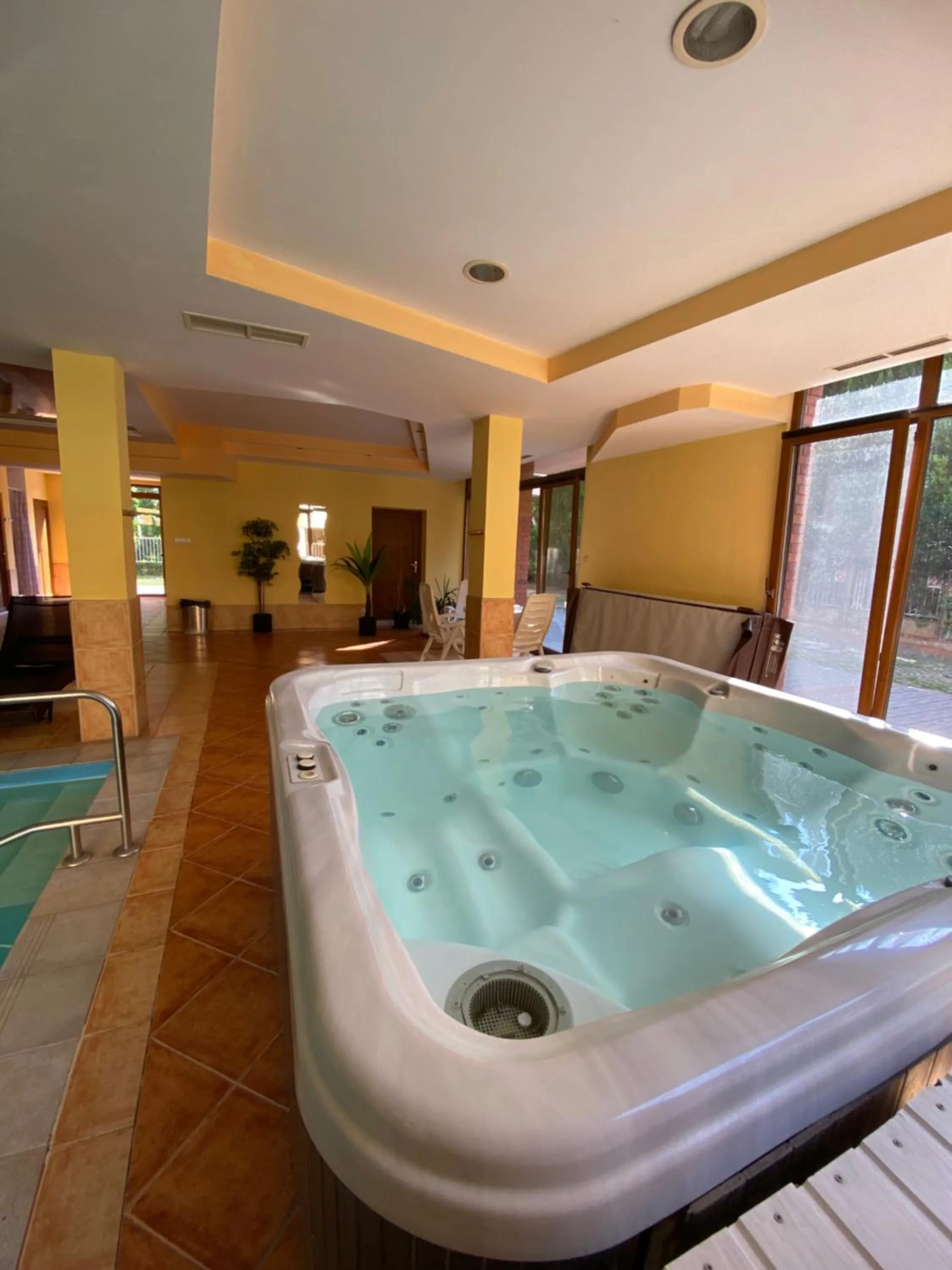 Swimming pool in Dorina Wellness Apartman