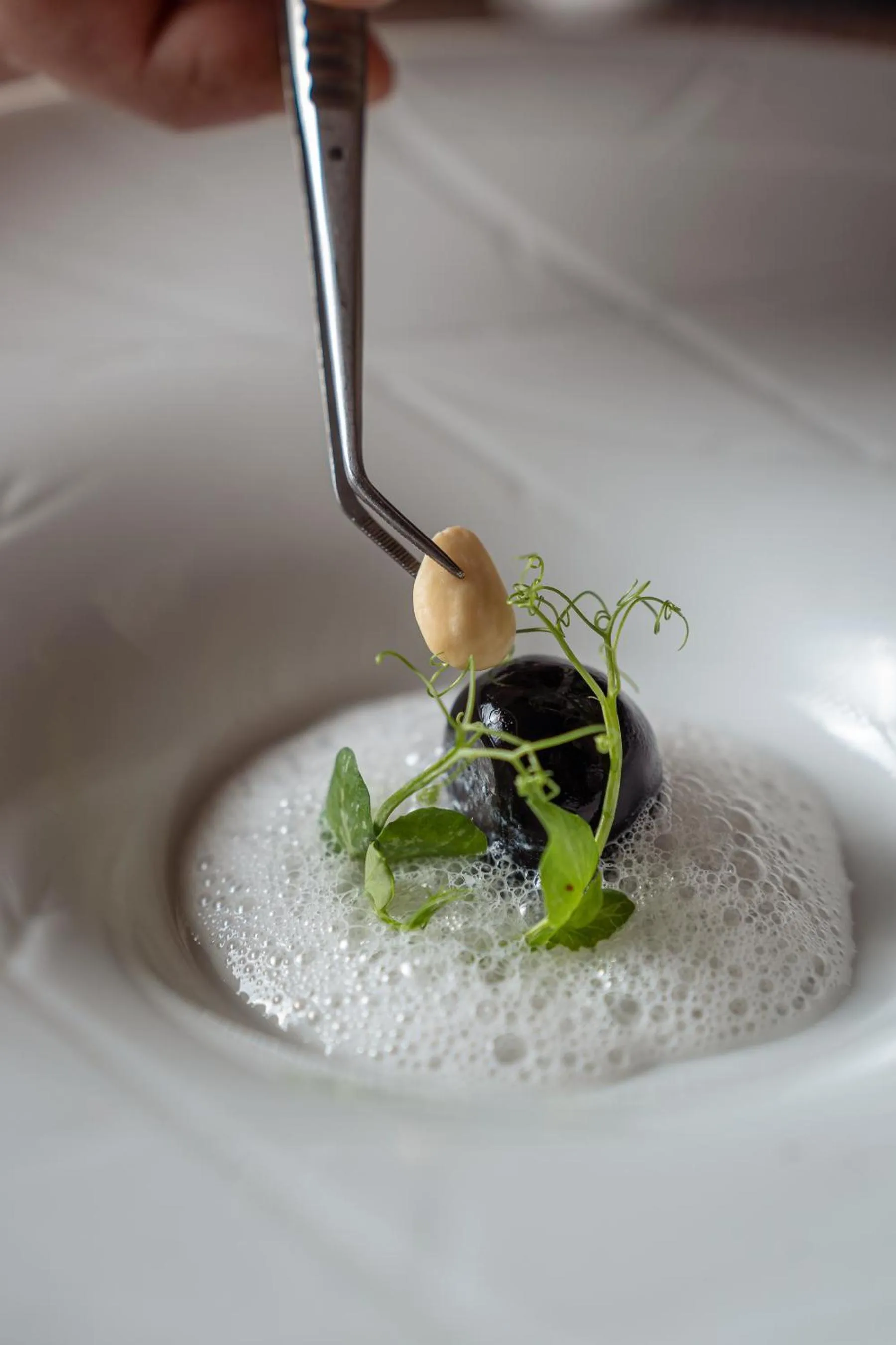 Food in Villa Neri Resort & Spa