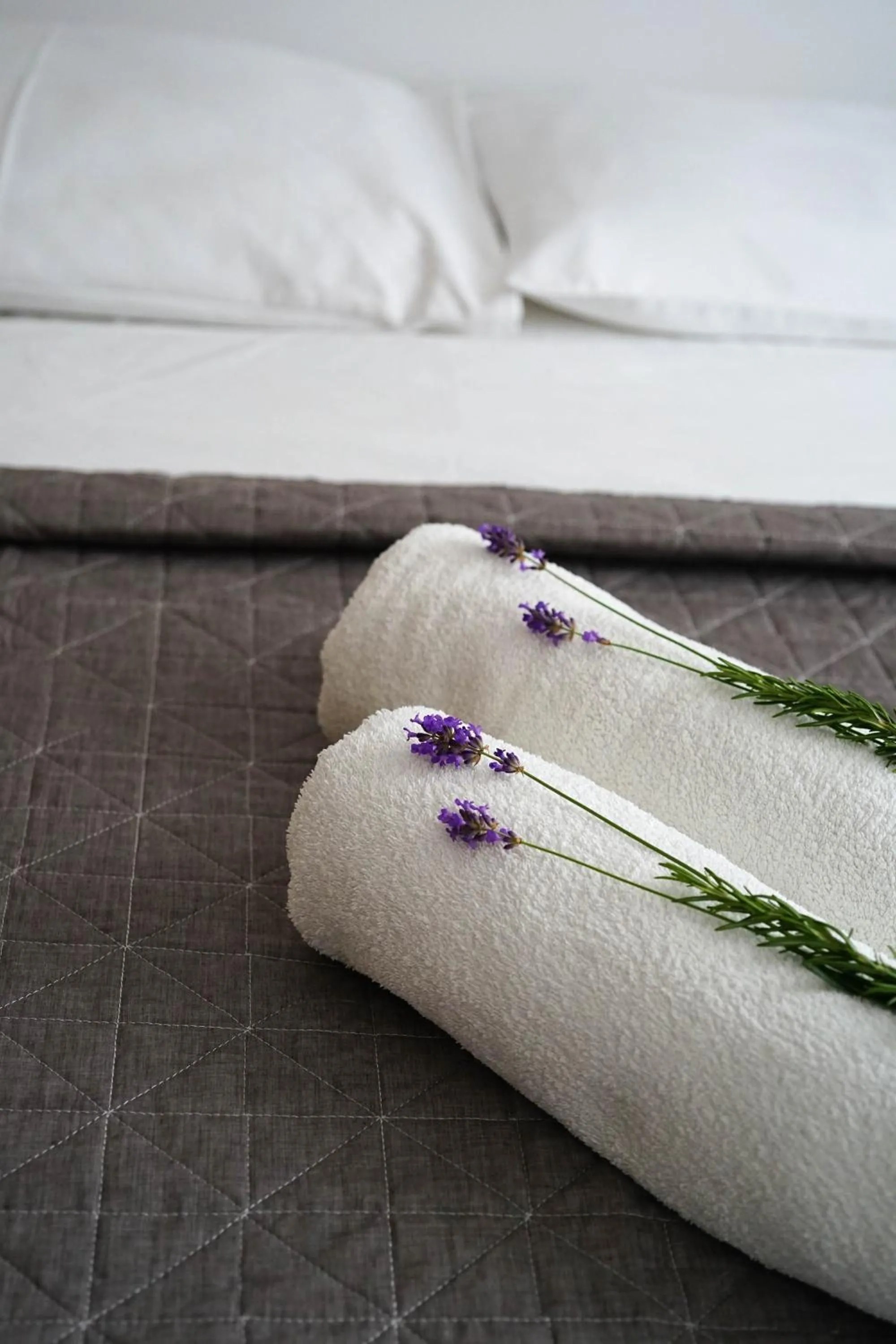 Bedroom, Bed in Apartments and Rooms Degra