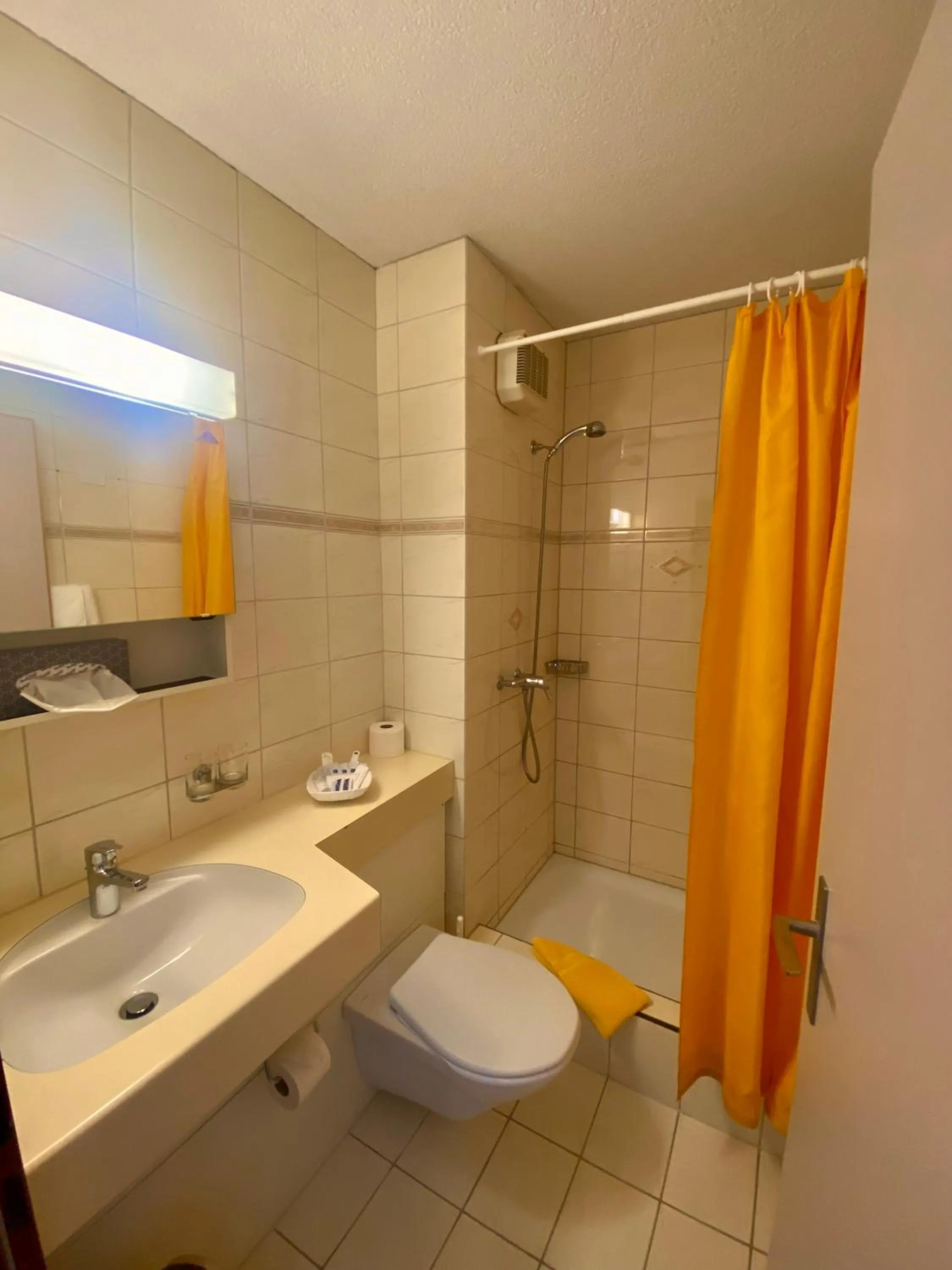 Bathroom in Gasthof zum Roten Löwen