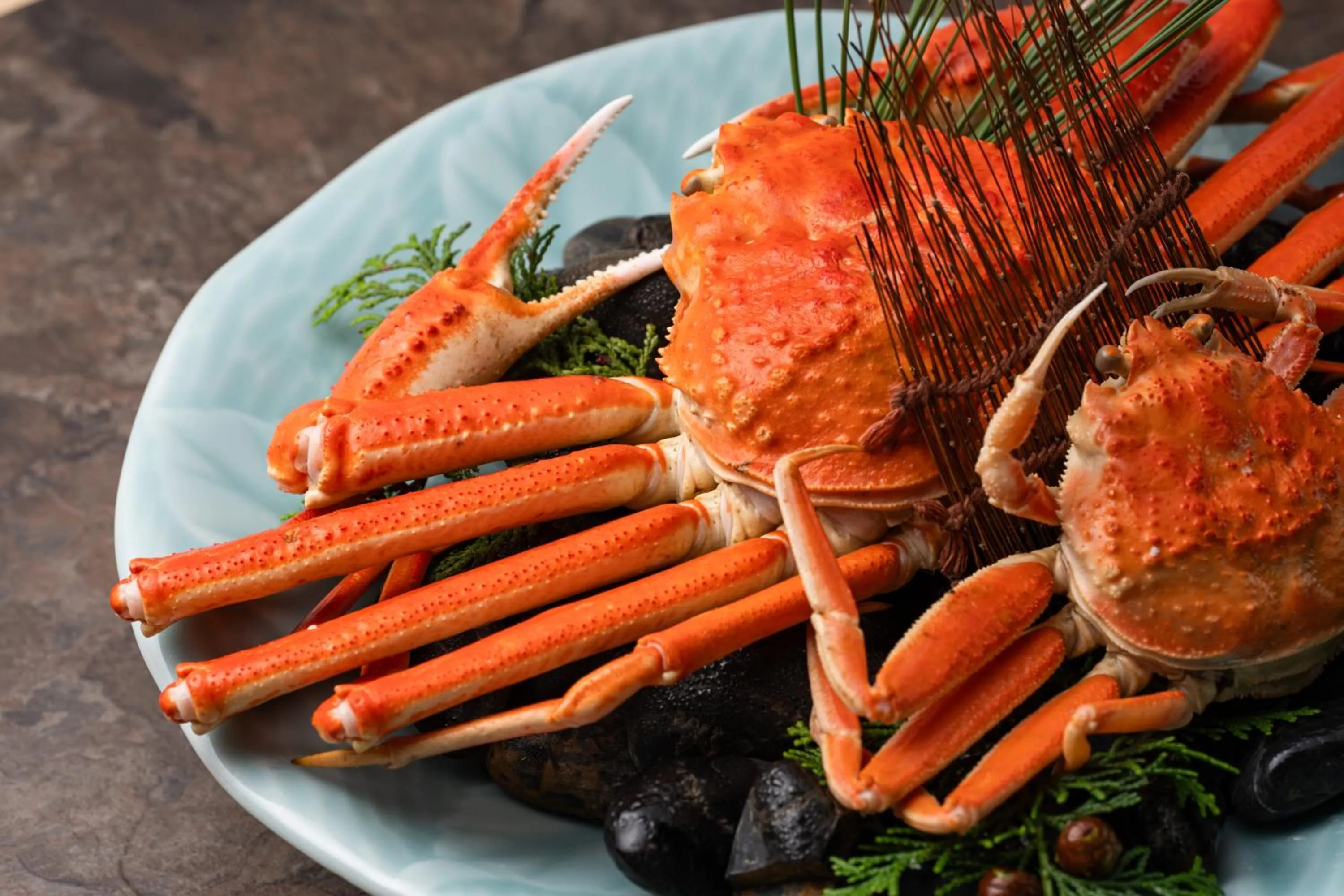 Dinner in Tokigasane