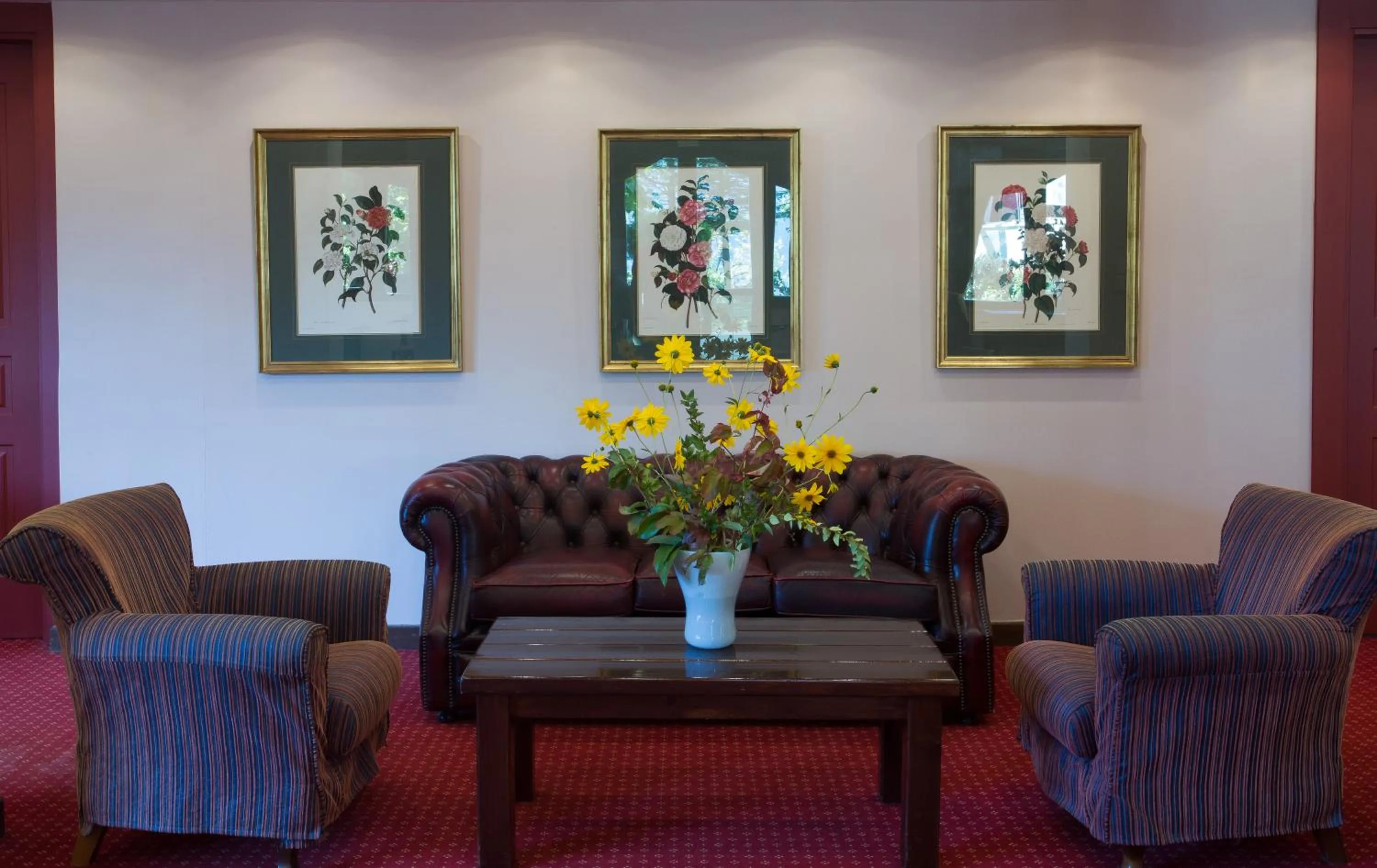 Area and facilities in Country Club Hotel & Suites